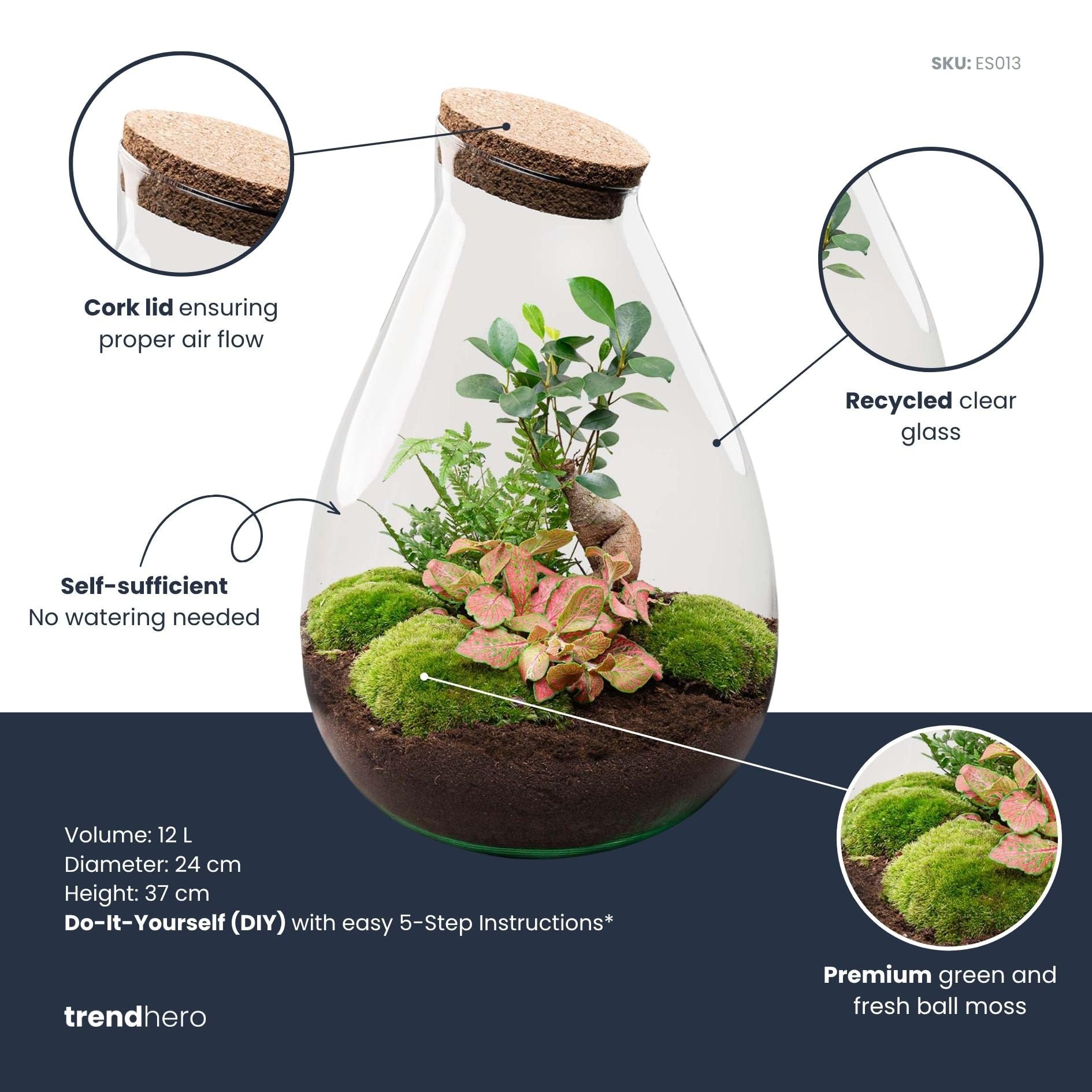 Drop XL Terrarium Rot DIY Kit für Pflanzen Ø 24 cm Höhe 37 cm Nachhaltiges Ökosystem mit Kork