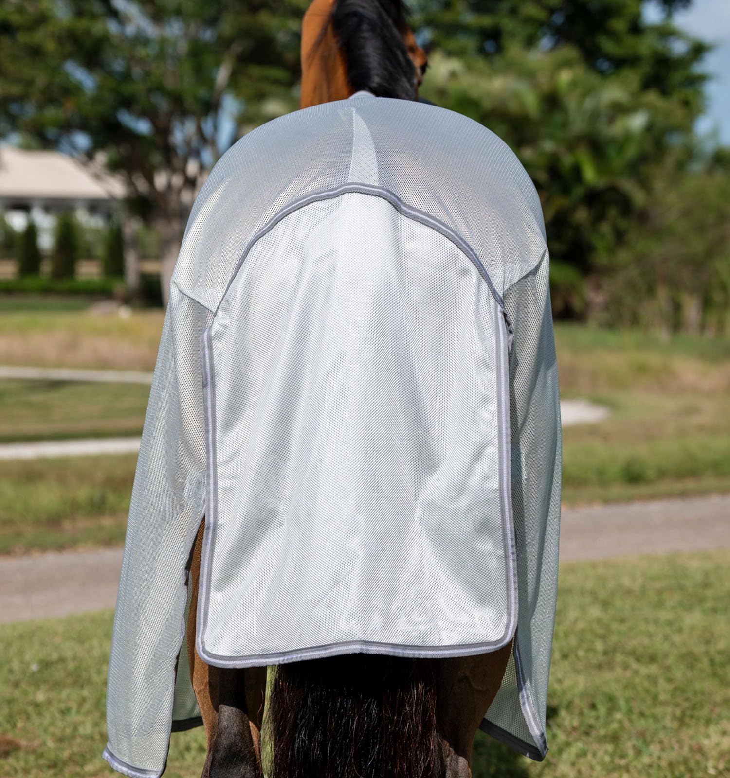 Amigo Bug Buster - Sujetador sin cuello, color plateado/titanio gris y plateado, 140