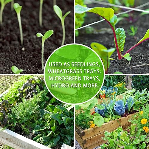 Miniatura 6 de Paquete de 10 bandejas fuertes para cultivo de plantas, plástico negro duradero extra fuerte (sin agujeros de drenaje) para invernadero y flores,