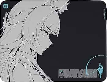 81DzBFST0KL._AC_UF350,