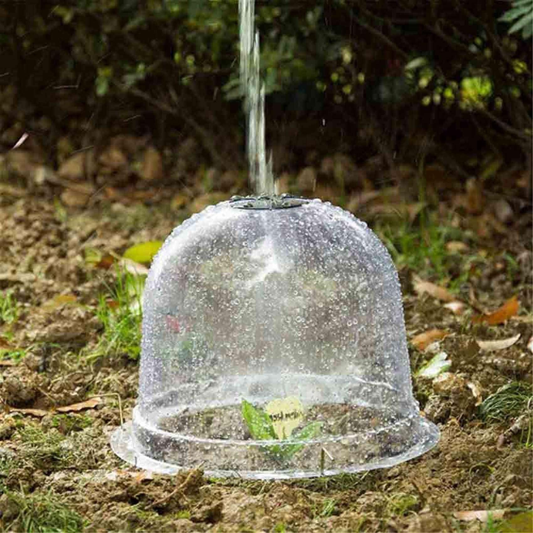 Lot de 12 cloches pour plantes de jardin, en plastique, cloches de culture, cloche de culture transparente, pour le réchauffement