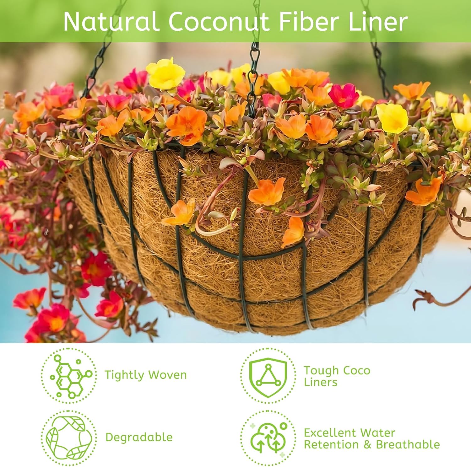 Riare 6 Pack 14 Inch Round Coco Liners Replacement, 100% Natural Coconut Coir Liners for Hanging Baskets, Garden Flower Vegetables Planter Pot, Window Box, Fence, Decks