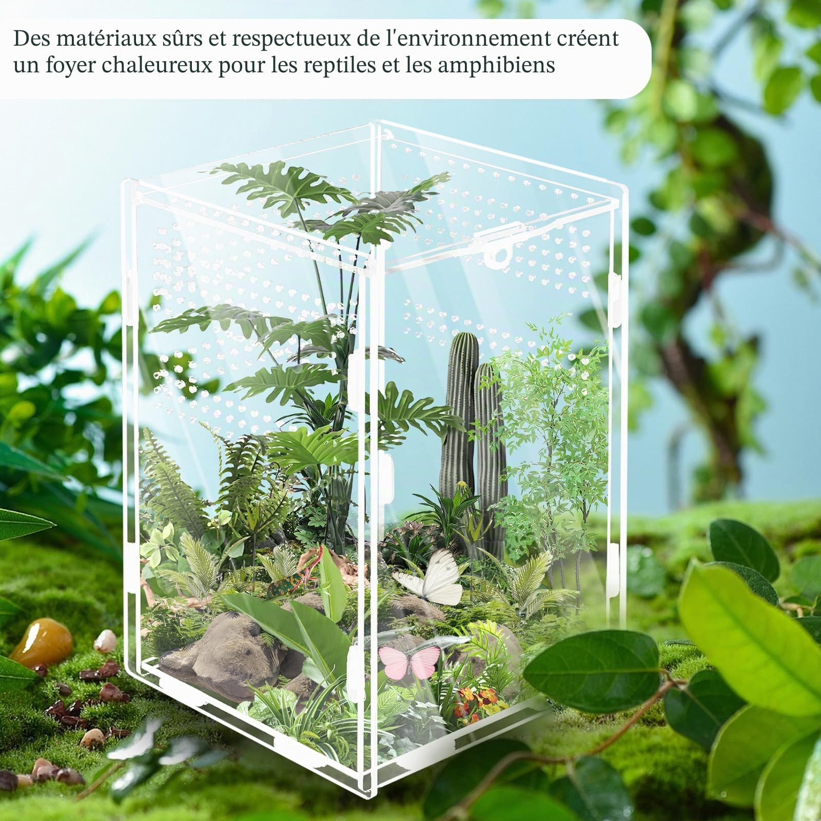 Terrarium à escargots 360° en acrylique : WIYETY Mini terrarium transparent en acrylique pour terrarium Reptile Scorpion Beetle Reptile Reptile (20 x 12 x 12 cm)