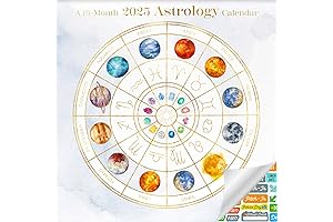 2023 Deluxe Astrology Planner Bundle with Over 100 Stickers