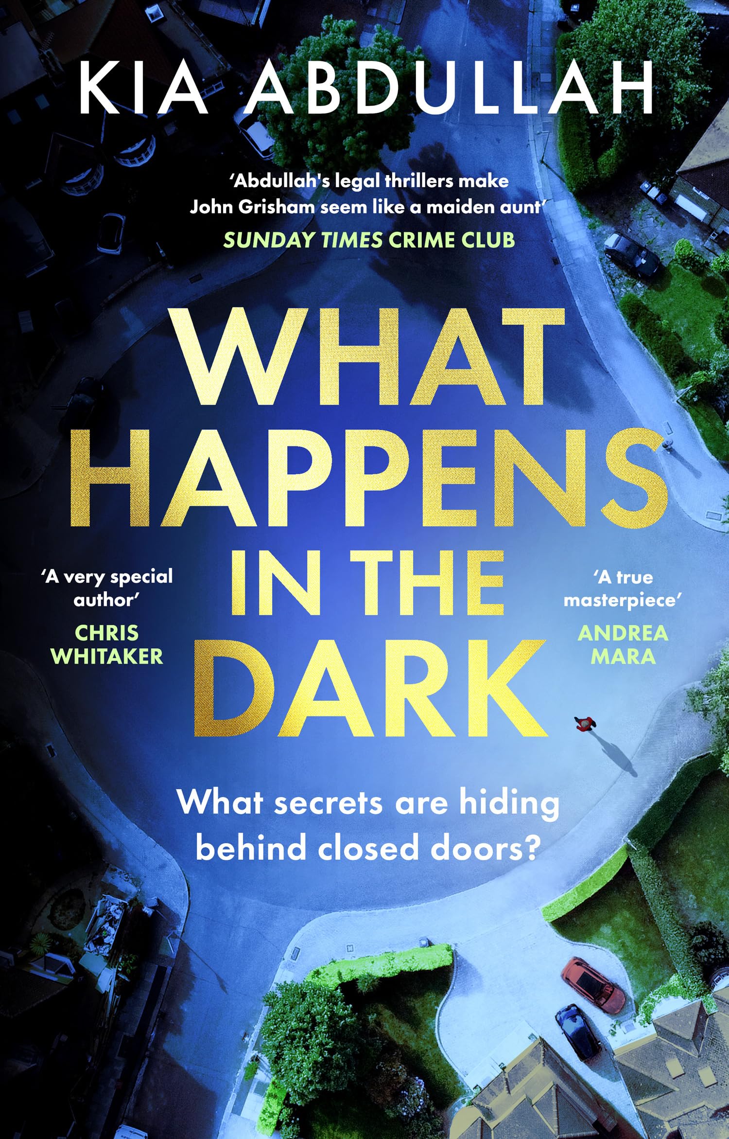 What Happens in the Dark: The suspenseful domestic courtroom crime thriller drama full of twists new for 2026!