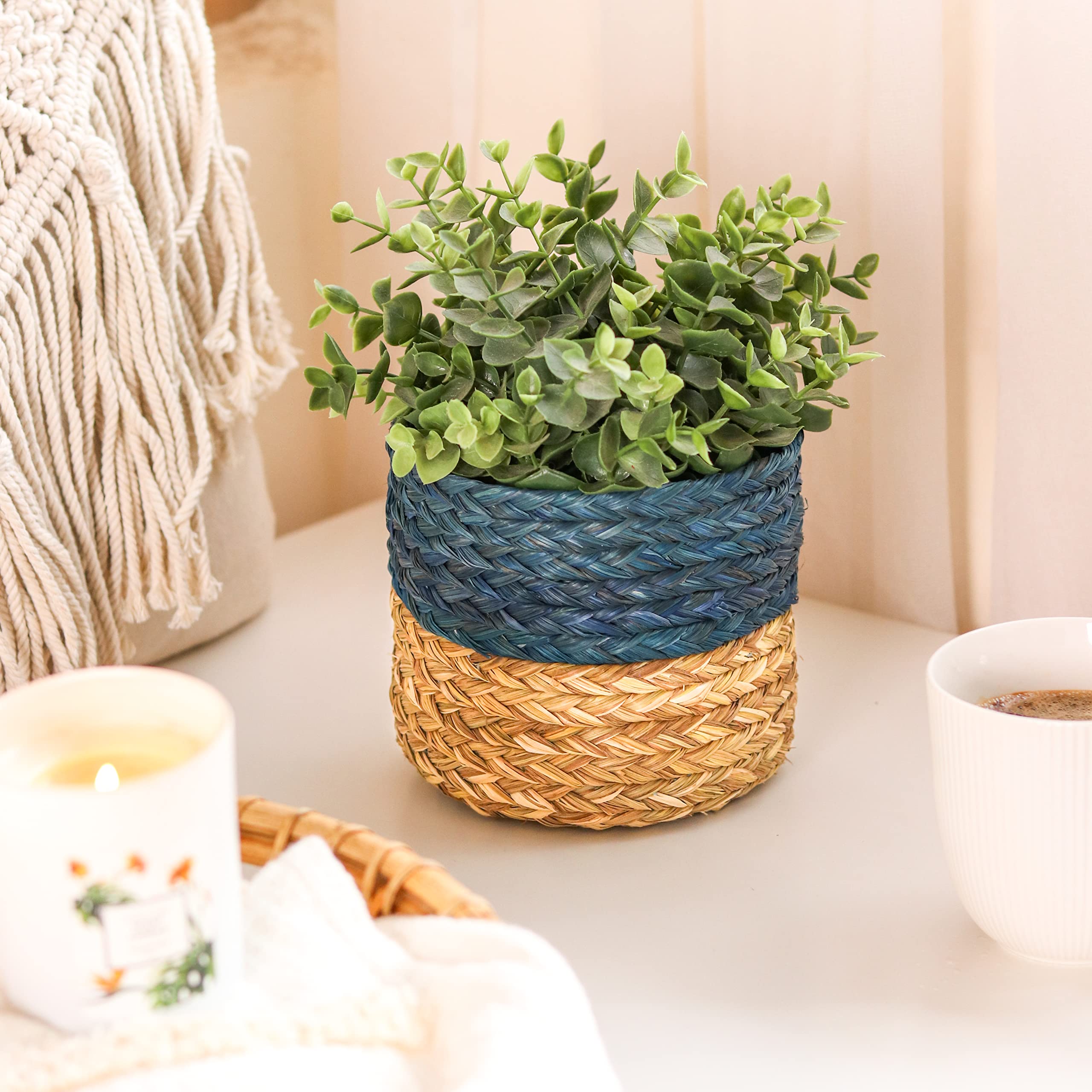 See full amazon price history chart for Bhumee Creations Handmade Sabai Grass Planter | Eco-Friendly Planter | Multiple Organizer | Indoor (Blue) Bhumee Creations Handmade Sabai Grass Planter | Eco-Friendly Planter | Multiple Organizer | Indoor (Blue) (B0BSNCJKNK) Amazon Price History, Amazon Price Tracker