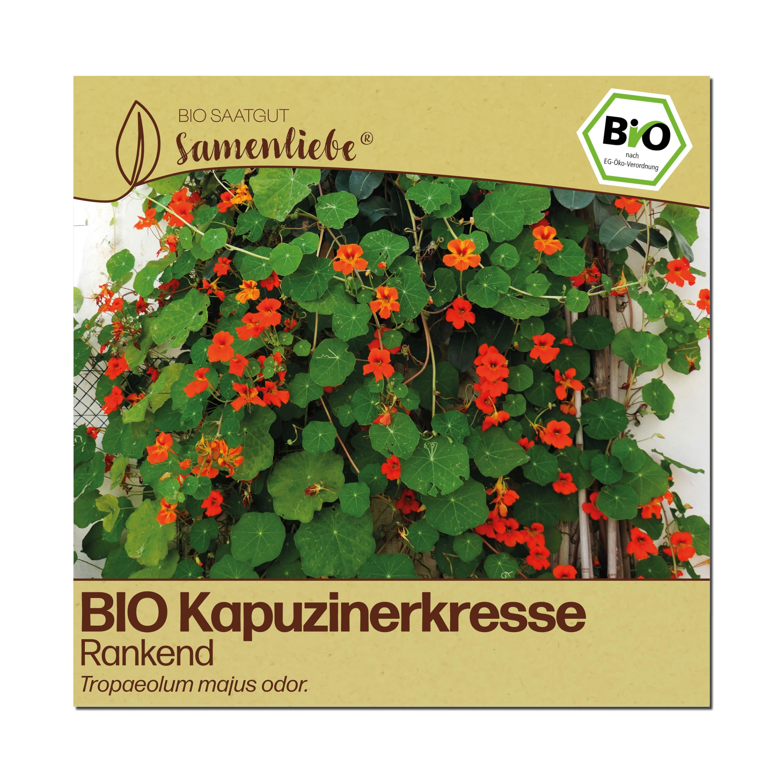 Samenliebe BIO Kapuzinerkresse Samen | rankend - essbare Blüten - samenfestes BIO Saatgut