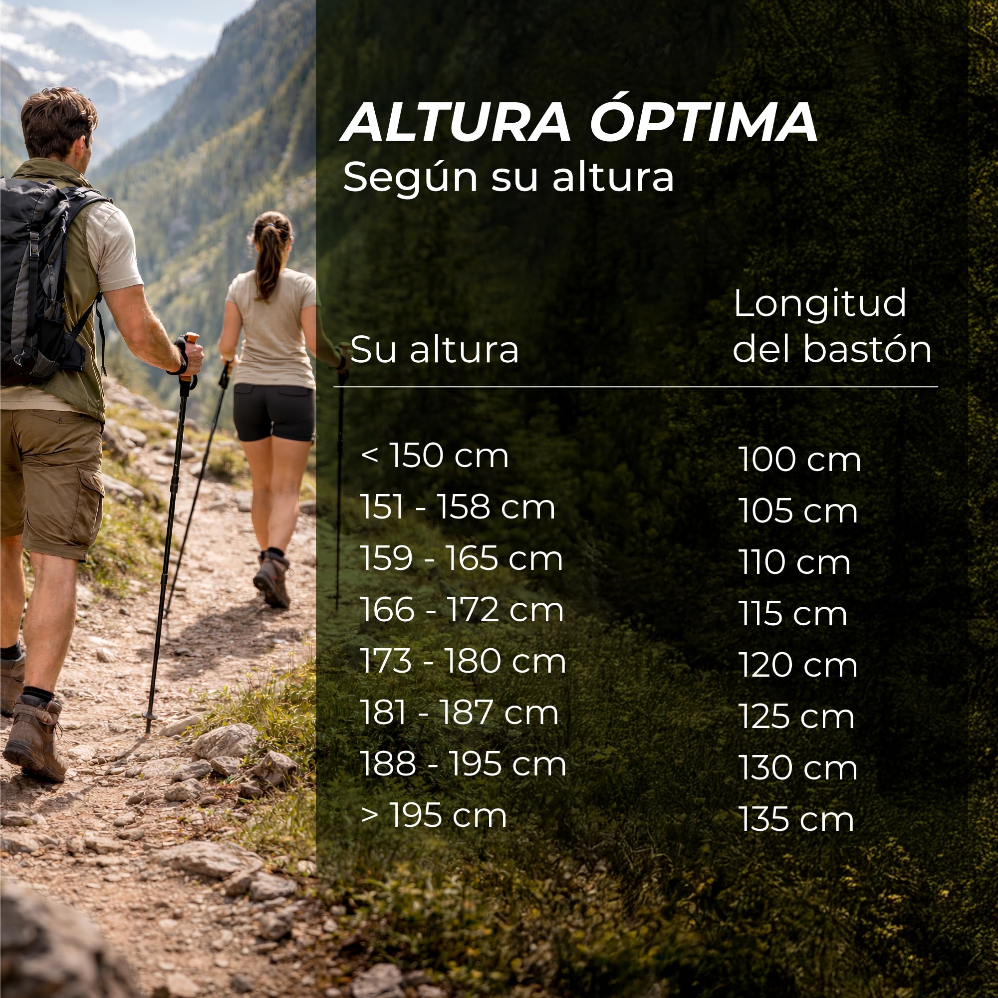 Bastones Trekking Telescópicos Carbono o Aluminio - Bastones Senderismo para Hombre y Mujer, Ultraligeros - Palos Senderismo con Mango de Corcho Natural