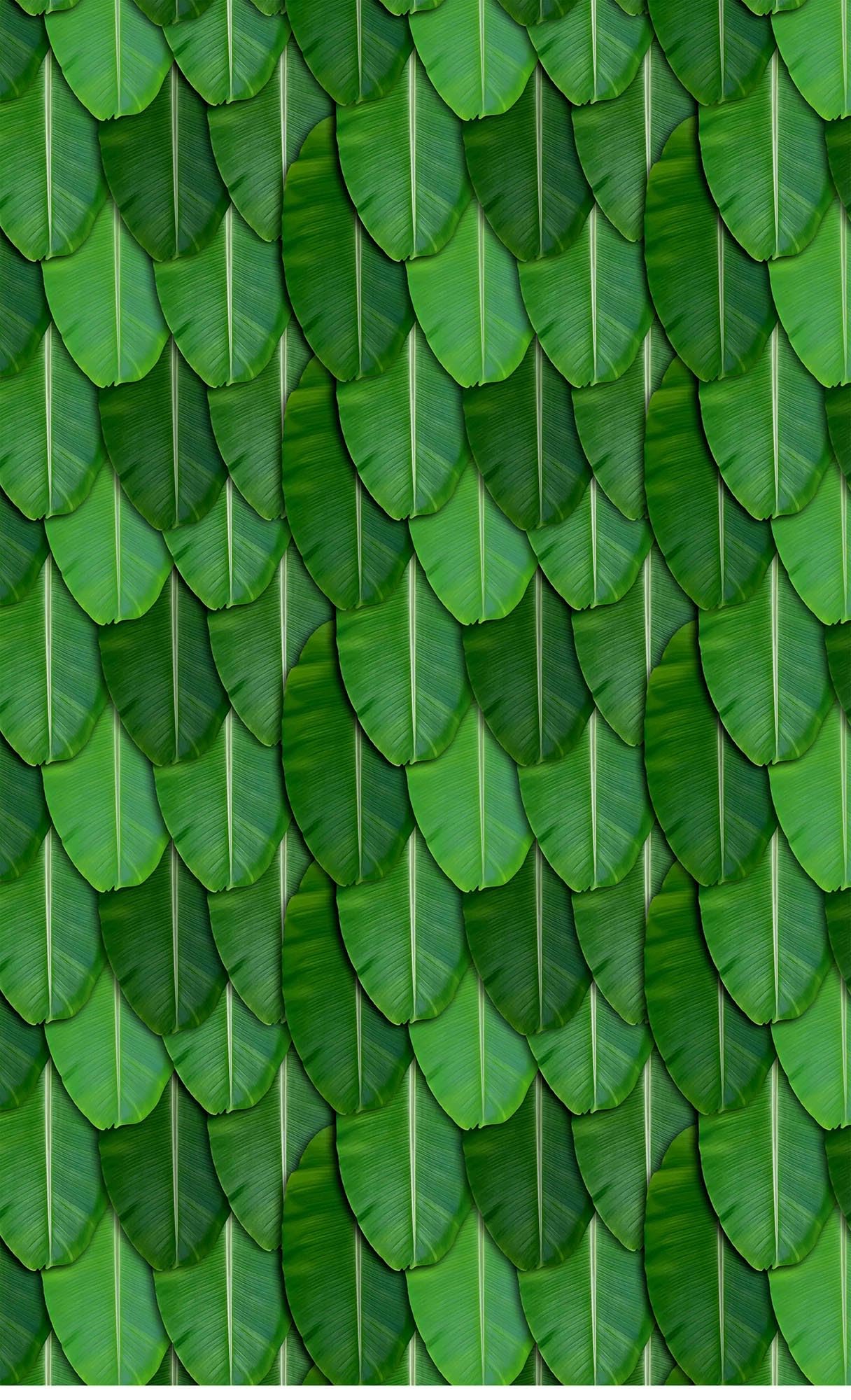 Banana Leaf Pooja 5ft x 8ft Wedding Backdrop Polyester Fabric for Ganesh Chaturthi, Satyanarayan Pooja, Annaprassana (Aritaku) Washable Fabric