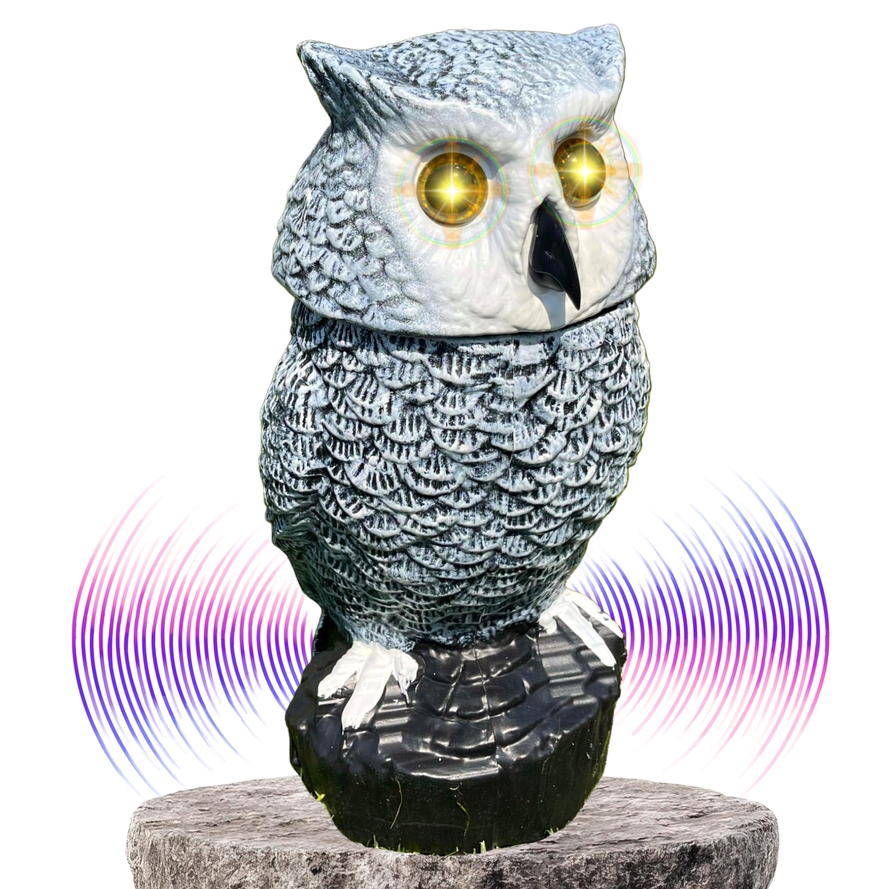 トップス Owl Amazon.com : Owlery Snowy Solar Owl With Motion Detector, Flashing