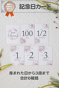 ひまわりページ　マンスリーカード Amazon.co.jp: クローズピン もん 手帳 2024年 A6 マンスリー