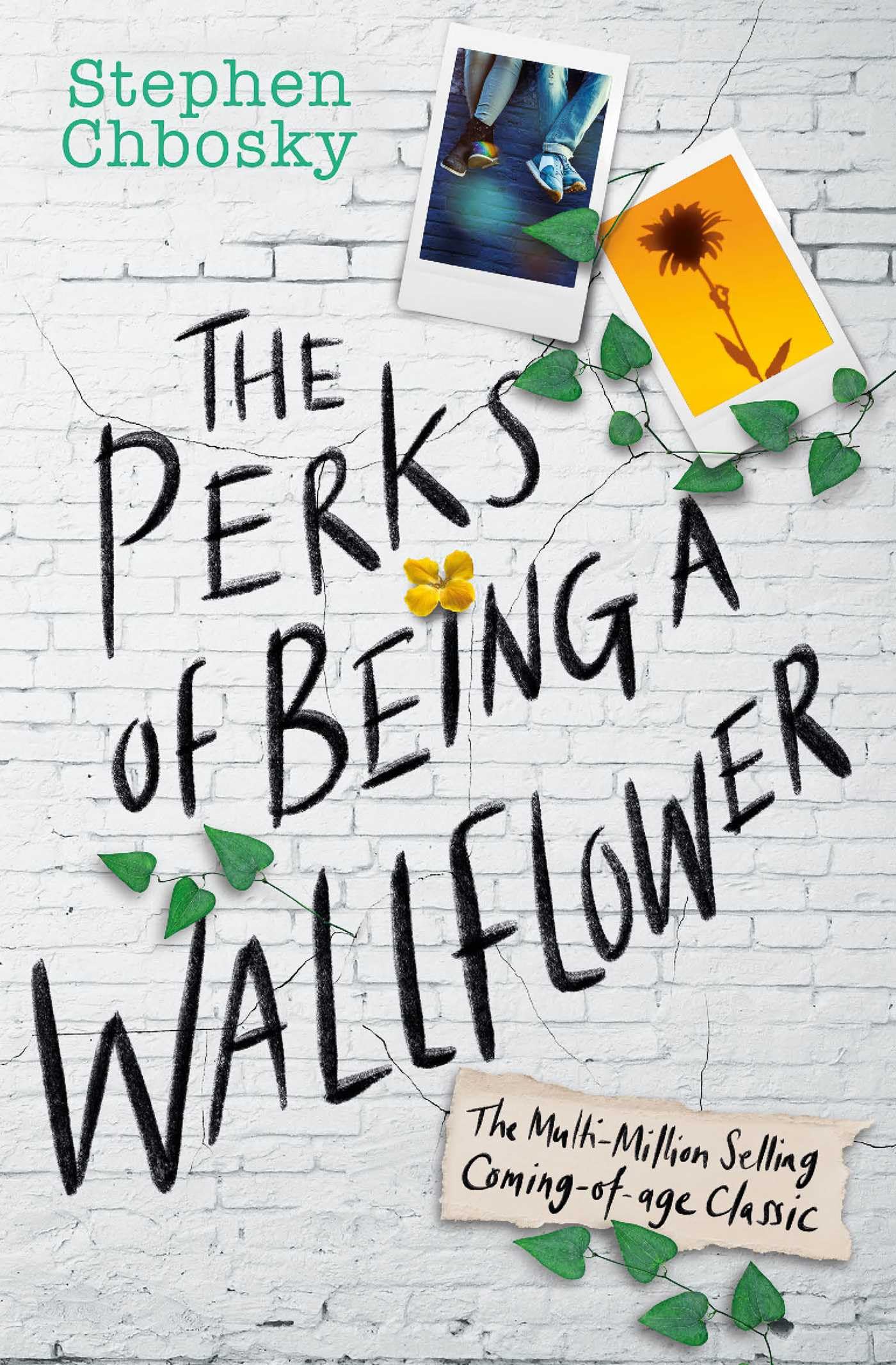 The Perks of Being a Wallflower YA Edition – Novel