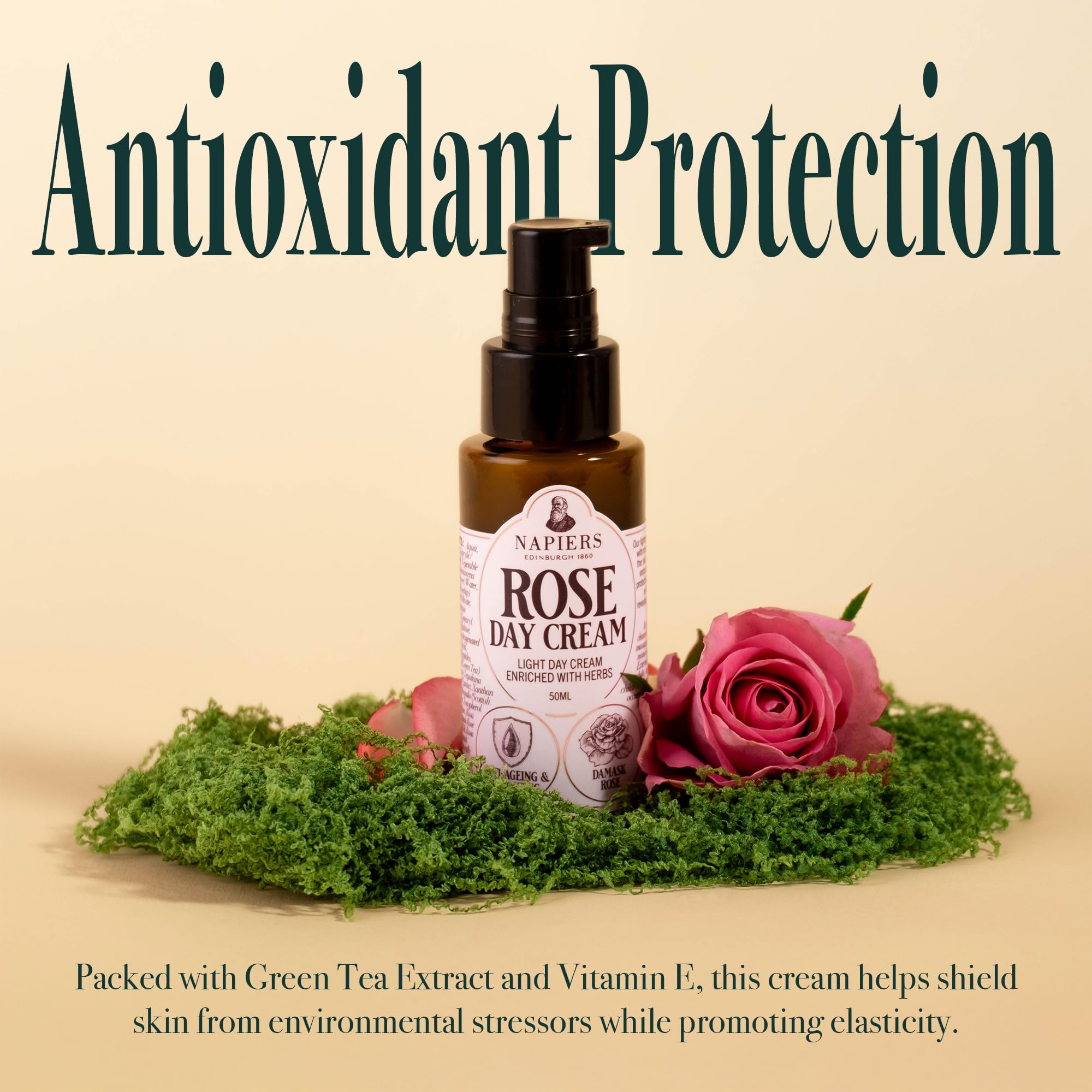 Napiers Rose Day Cream, Hydrating & Anti-Ageing Face Moisturiser with Rosehip & Green Tea - Image 4