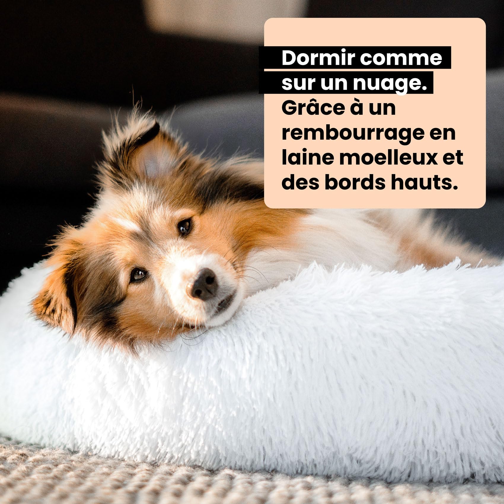 Wahre Tierliebe Panier Chien Fluffy [Plus] L'original, avec Housse Lavable Coussin pour Chiens Panier pour Chien, lit pour Chien Moelleux pour Grands & Petits Chiens, Coussin Chien, Tapis Chien
