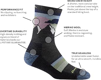 Darn Tough Women's Element Micro Crew Lightweight with Cushion Sock (Style 1114) -