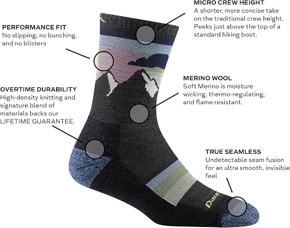 Darn Tough Women's Element Micro Crew Lightweight with Cushion Sock (Style 1114) -