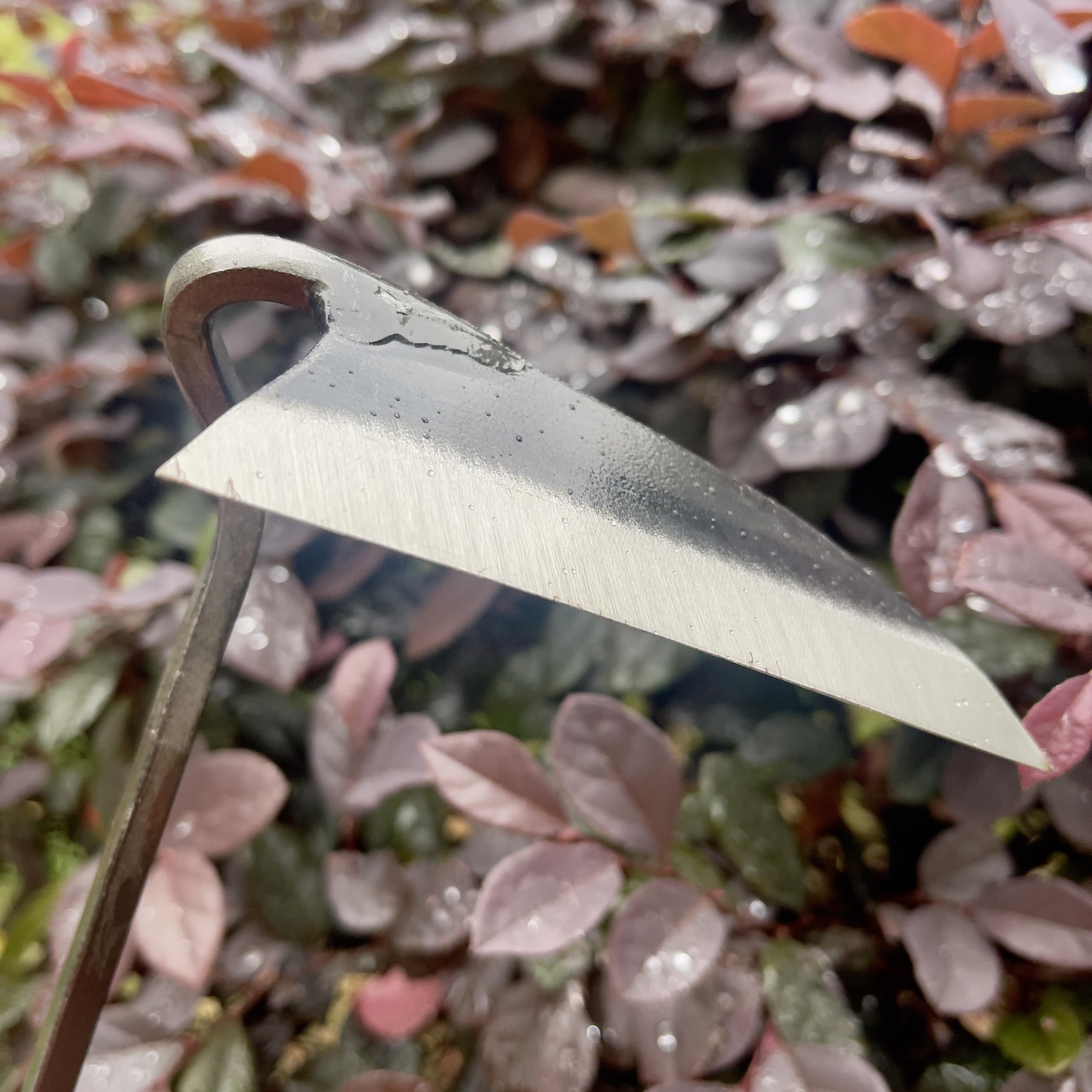 Alanx Faucille de jardinage japonaise de 12 pouces, houe à désherber avec manche en bois long