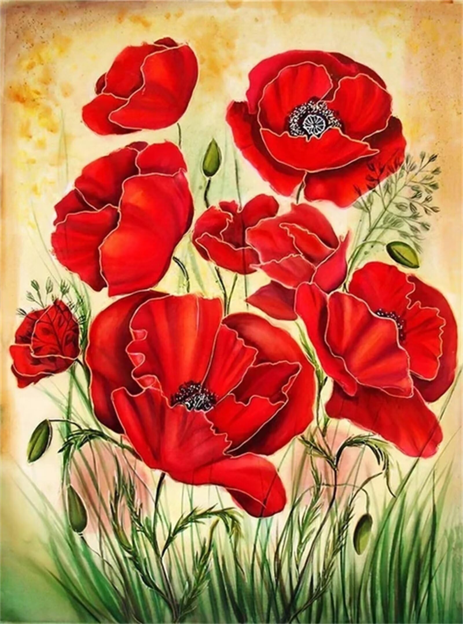 Wowdecor Pittura Con I Numeri Su Tela Fai Da Te - Motivo Papavero Rosso 40x50 Cm, Kit Completo Con Pennelli E Colori Acrilici, Senza Cornice, Per Adulti E Bambini