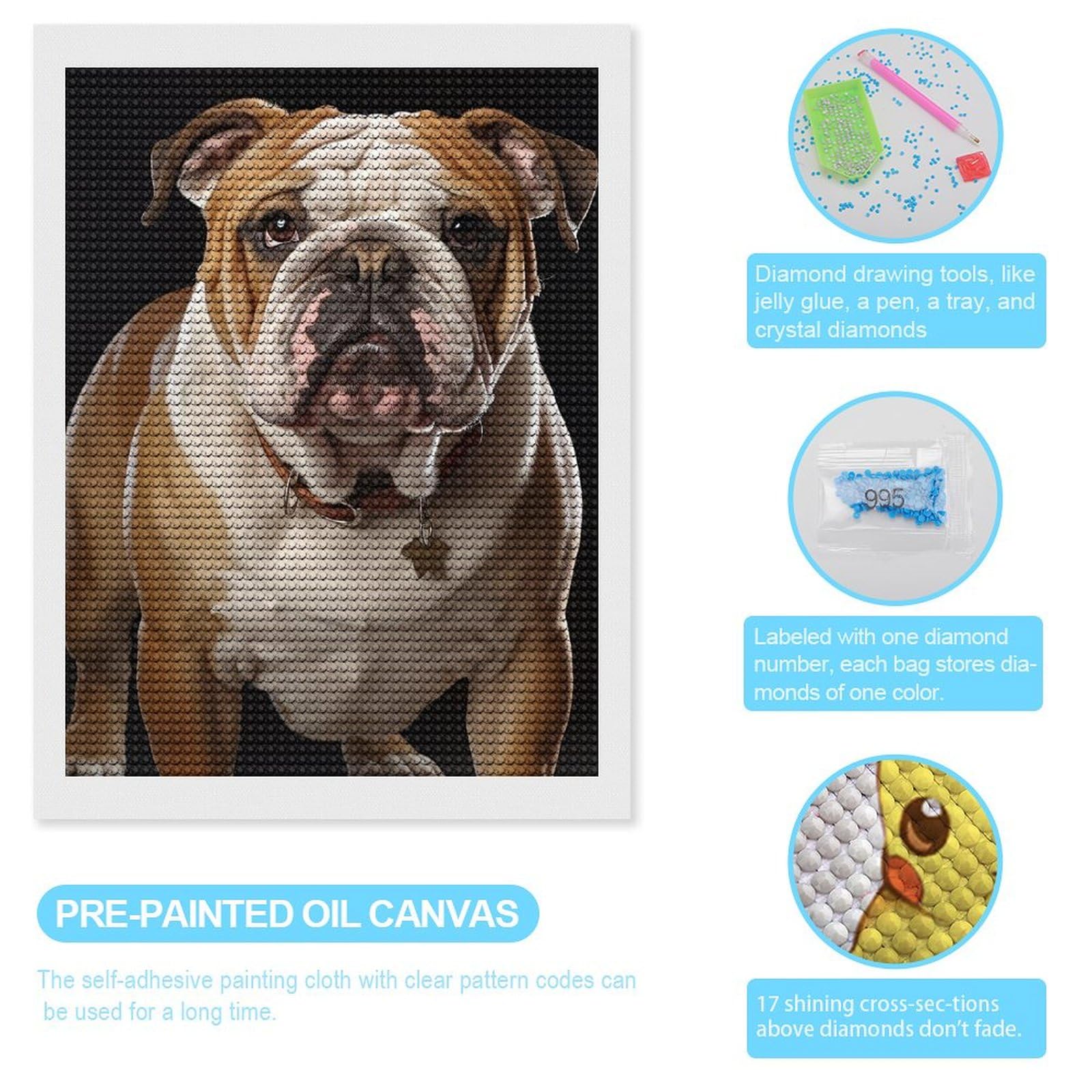 YSCOLOR Diamond Painting Kit 5D Bulldog Inglese, Full Drill Rotondo, 30x40cm, Tela E Strumenti Inclusi, Z683