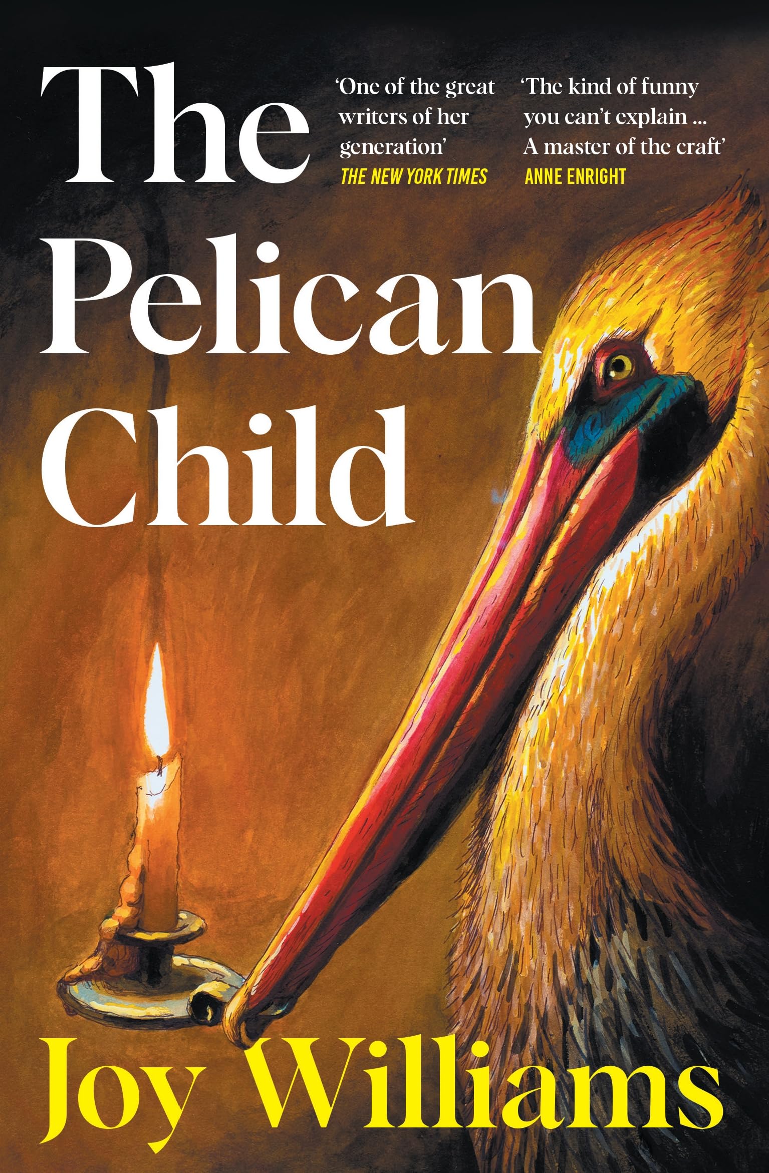 Joy Williams The Pelican Child - Fiction Book - Longlisted for the 2025 National Book Award