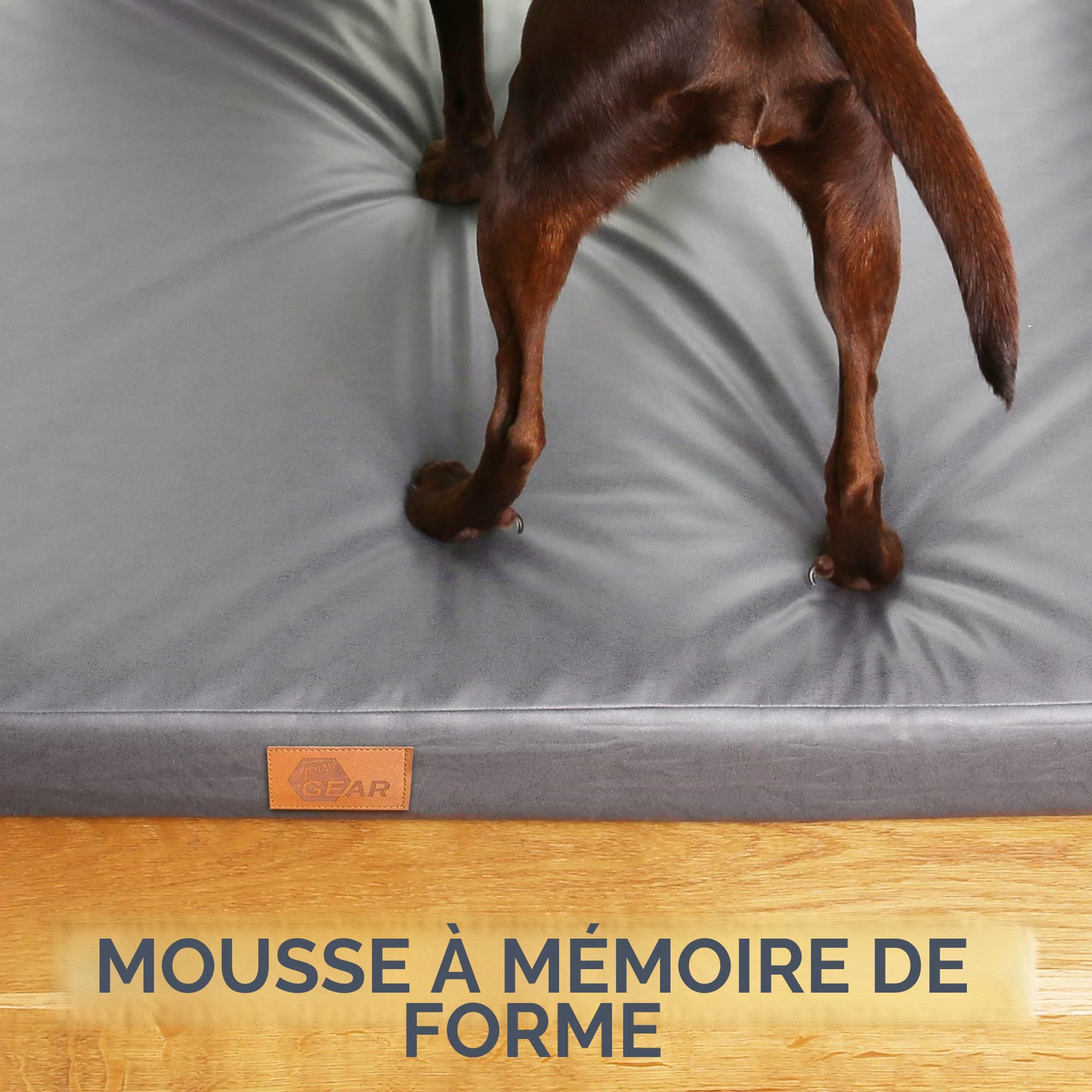 your GEAR Biella Lit orthopédique pour chien, 160 x 100 x 10 cm, canapé confortable pour chien, lavable et imperméable, tapis en mousse à mémoire de forme, coussin doux pour les articulations pour