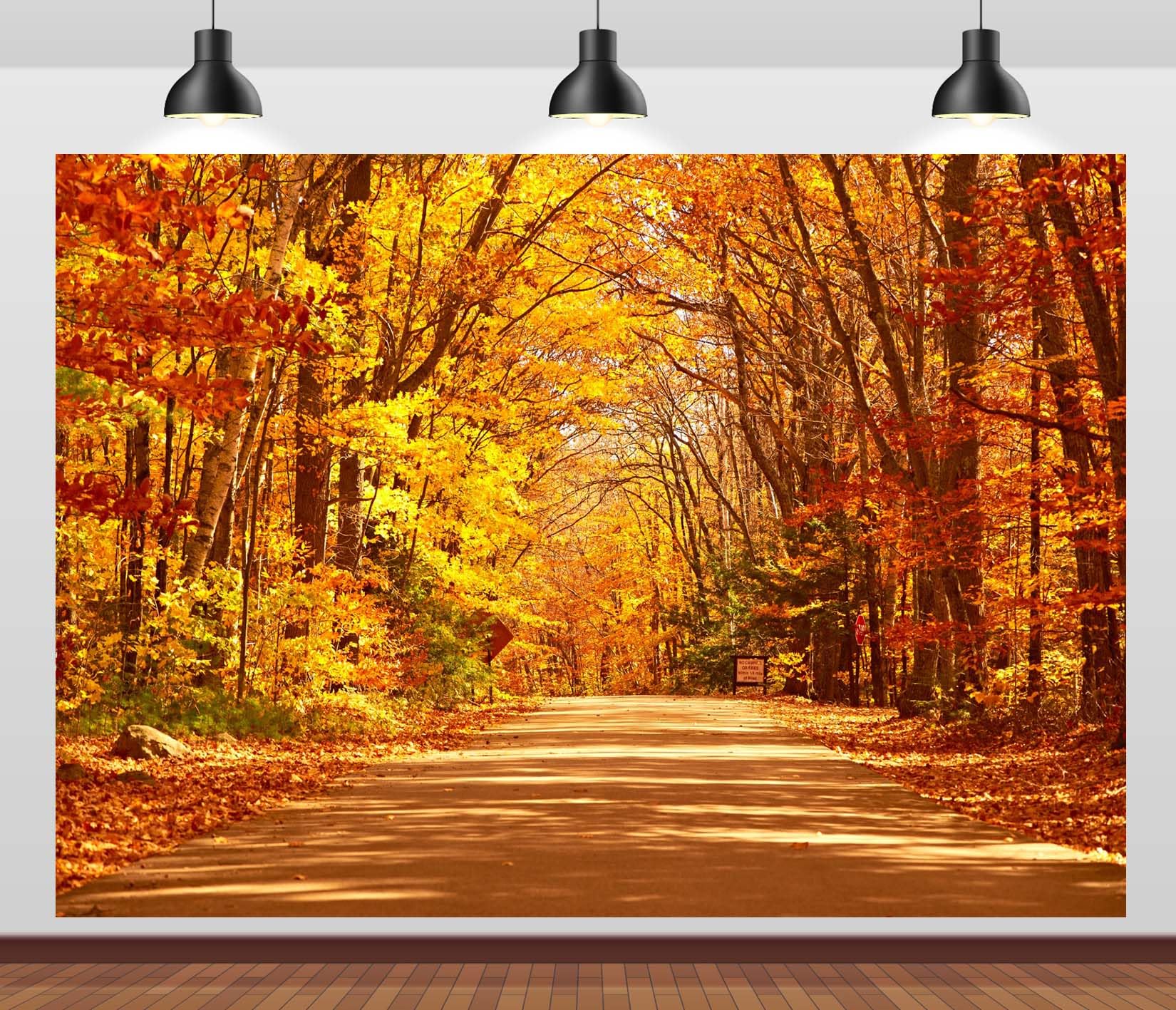 CORFOTO 10x8ft Fabric Autumn Scene Backdrop Fall Forest Landscape Photography Background Yellow Trees Path Way Autumn Theme Party Decor Portrait Photo