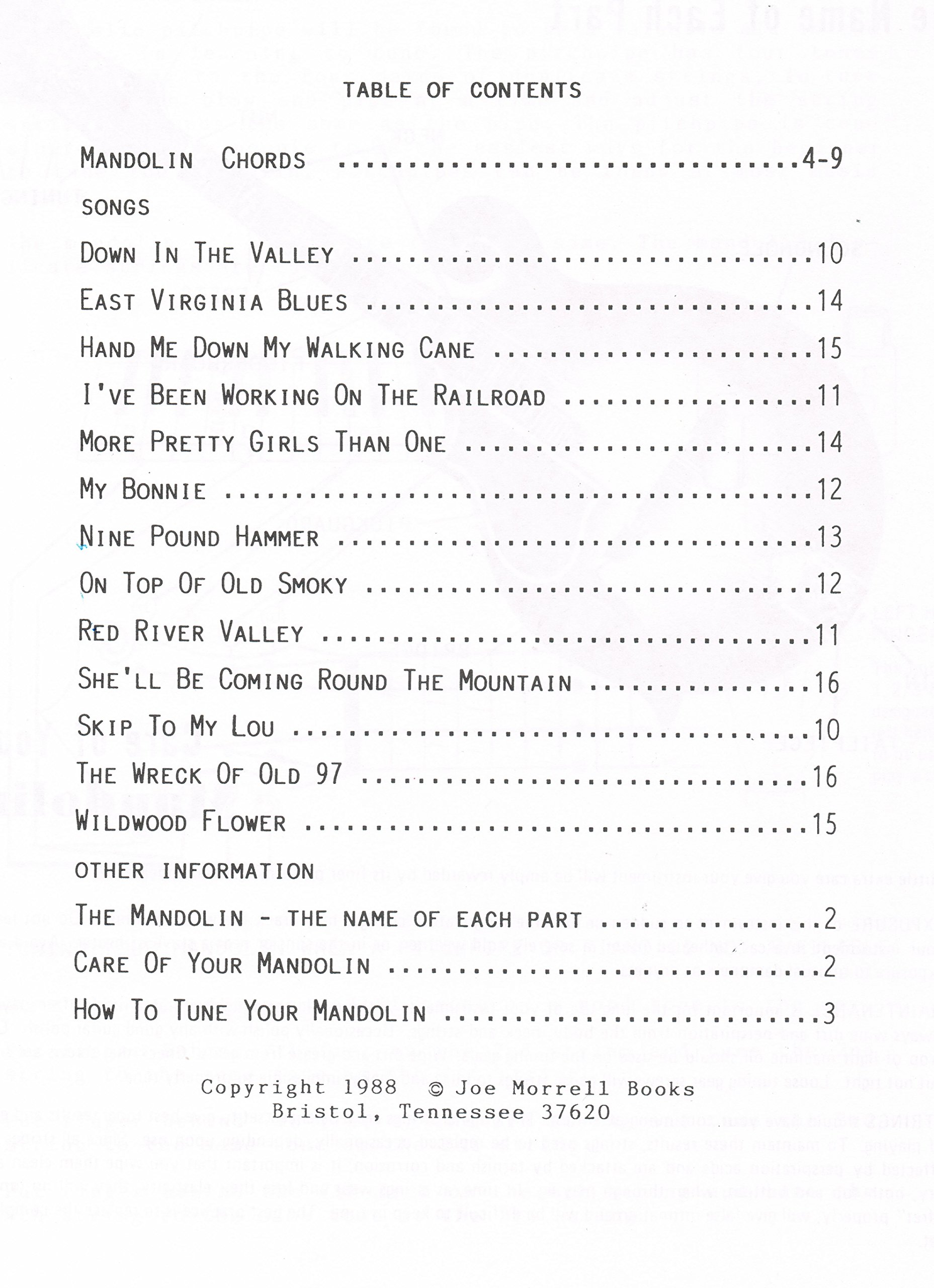 Easy Beginner Mandolin Chords Instruction Book: Learn to Play Mandolin