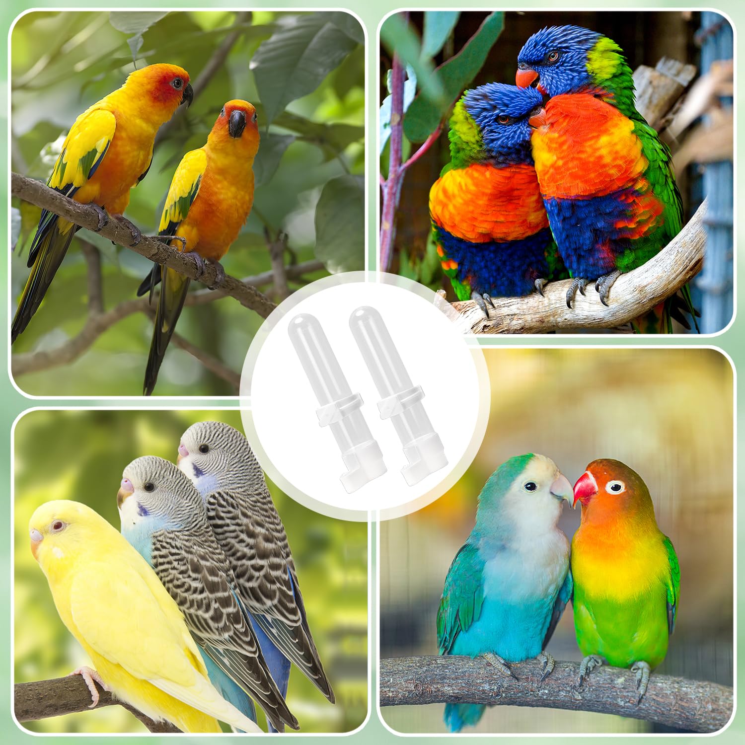 Mangiatoia per uccelli, 2 pezzi Distributore automatico di acqua per uccelli per pappagalli, parrocchetti, parrocchetti e calopsitte, Abbeveratoi per gabbia per uccelli Capacità 120 ml (bianco)