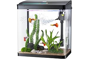 3 Gallon Desktop Aquarium: Perfect for Betta Fish and Small Creatures