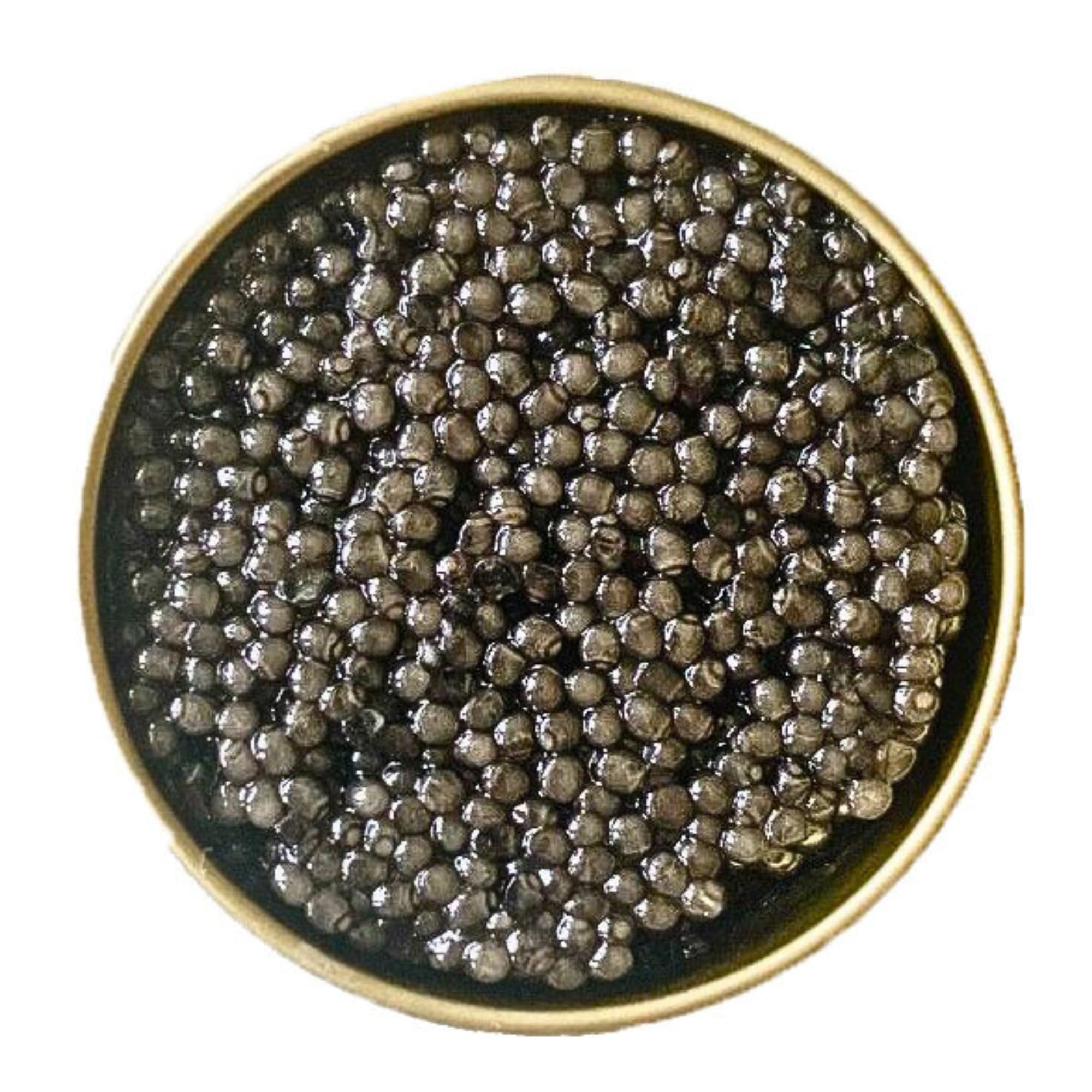 Beluga Caviar 30 g - Classical Sturgeon Kaviar - Premium Quality Siberian Huso Huso Orginial Finest Caviar - Fine Flavor and Quality - Deltamar Caviar CITES Certified