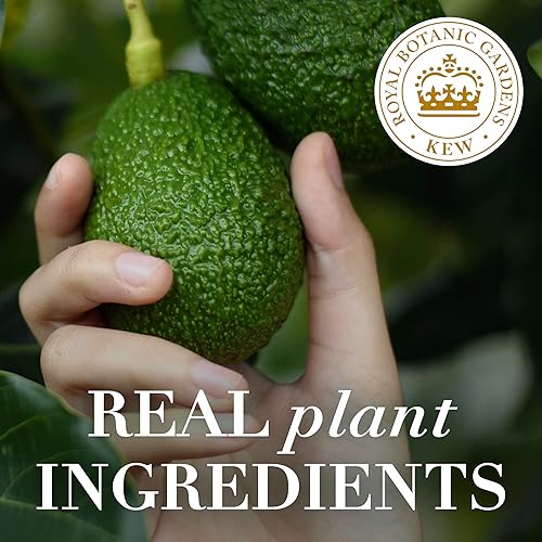 Miniatura 6 de Herbal Essences Champú sin sulfato de aceite de aguacate y argán, 13.5 onzas líquidas (paquete de 2)