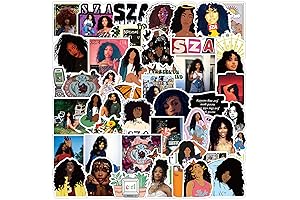 50PCS SZA CTRL Stickers for Laptop, Water Bottles, Phone, and More by...