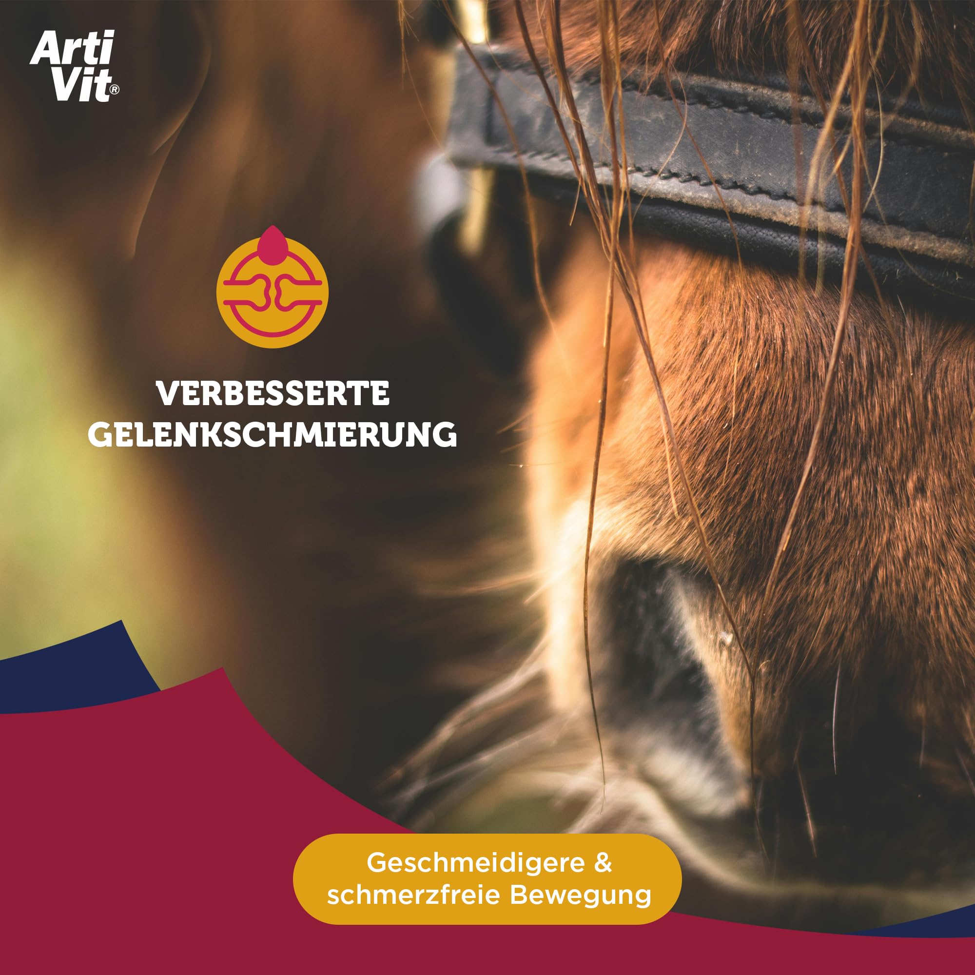 VITAR Veterinae Artivit Pegas Forte 7 extra strong joint nutrition for horses & large dog breeds. Also used by active Athletes.