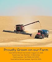 Vista 3 de Grano de trigo blanco duro verificado sin OMG 100% sin irradiar Kosher Parve Cosechado en EUA Con rastreo de campo