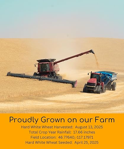 Miniatura 3 de Grano de trigo blanco duro verificado sin OMG | 100% sin irradiar | Kosher Parve | Cosechado en EUA| Con rastreo de campo