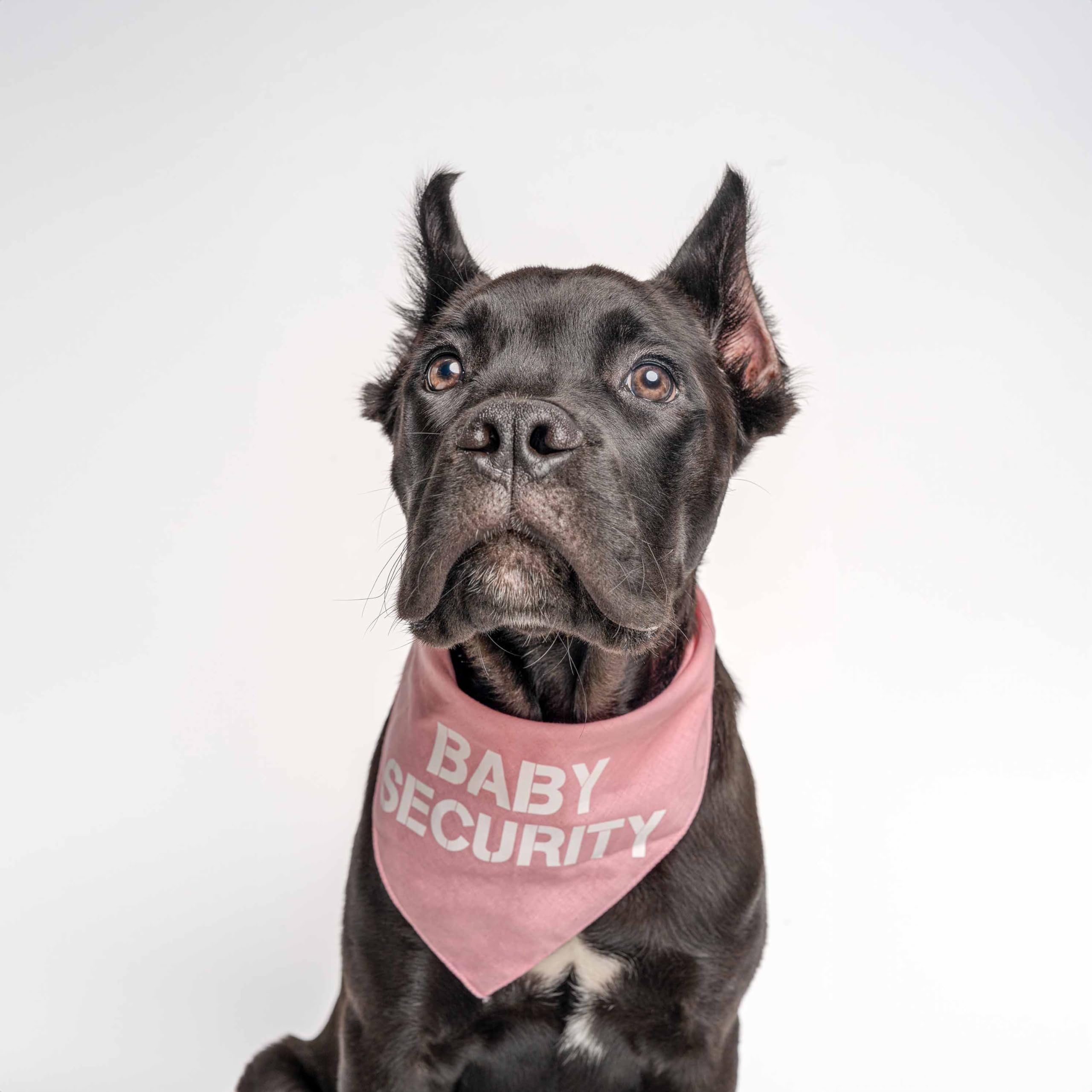 Baby Security stampato cane Bandana (colori assortiti)