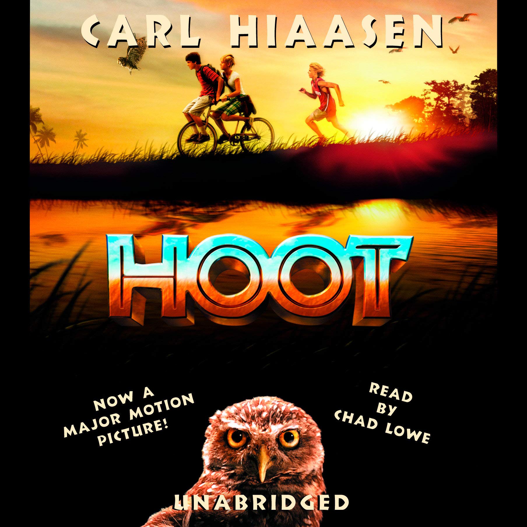 Cover art for Hoot