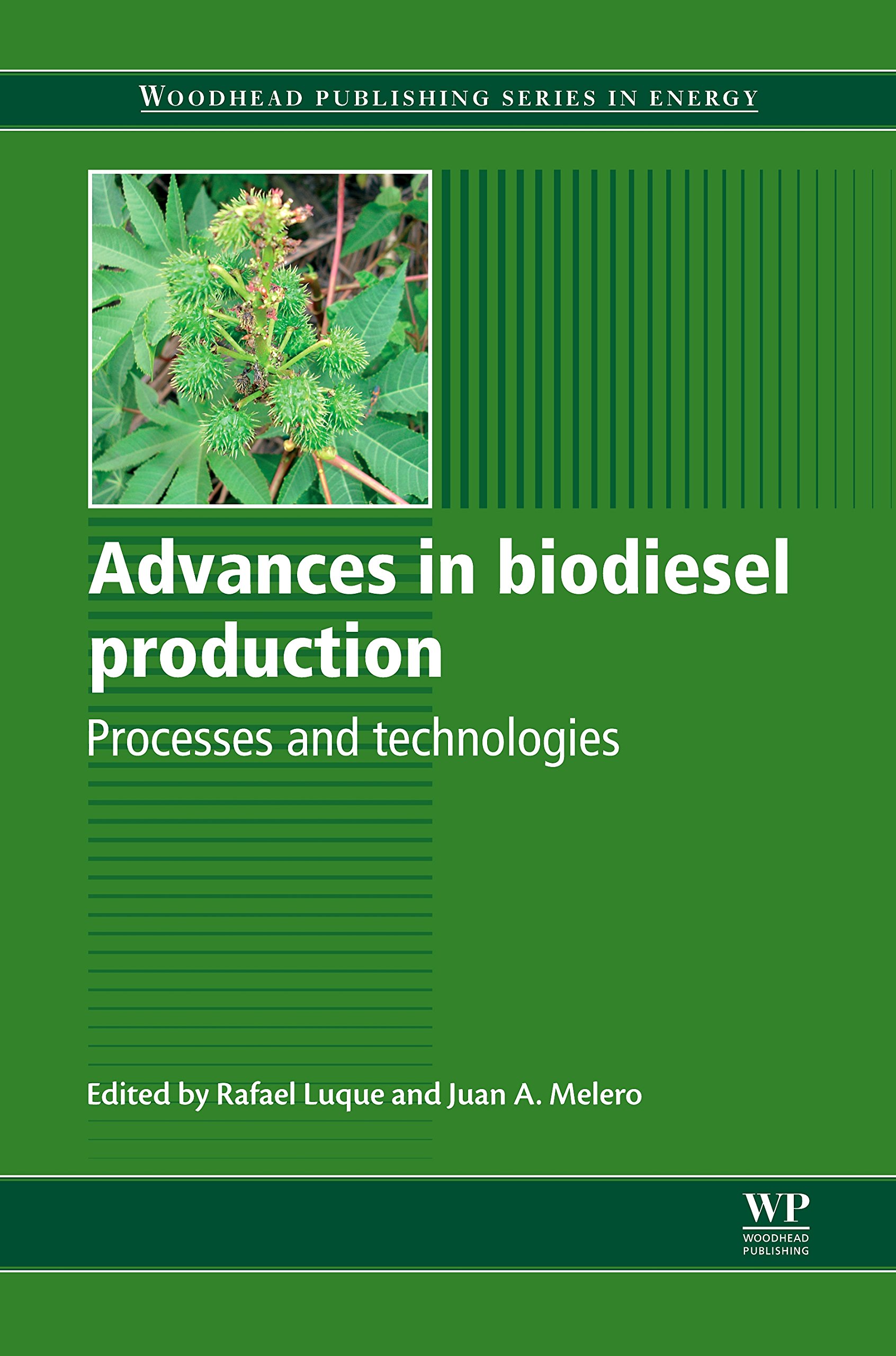 Advances in Biodiesel Production: Processes and Technologies (Woodhead Publishing Series in Energy Book 39)
