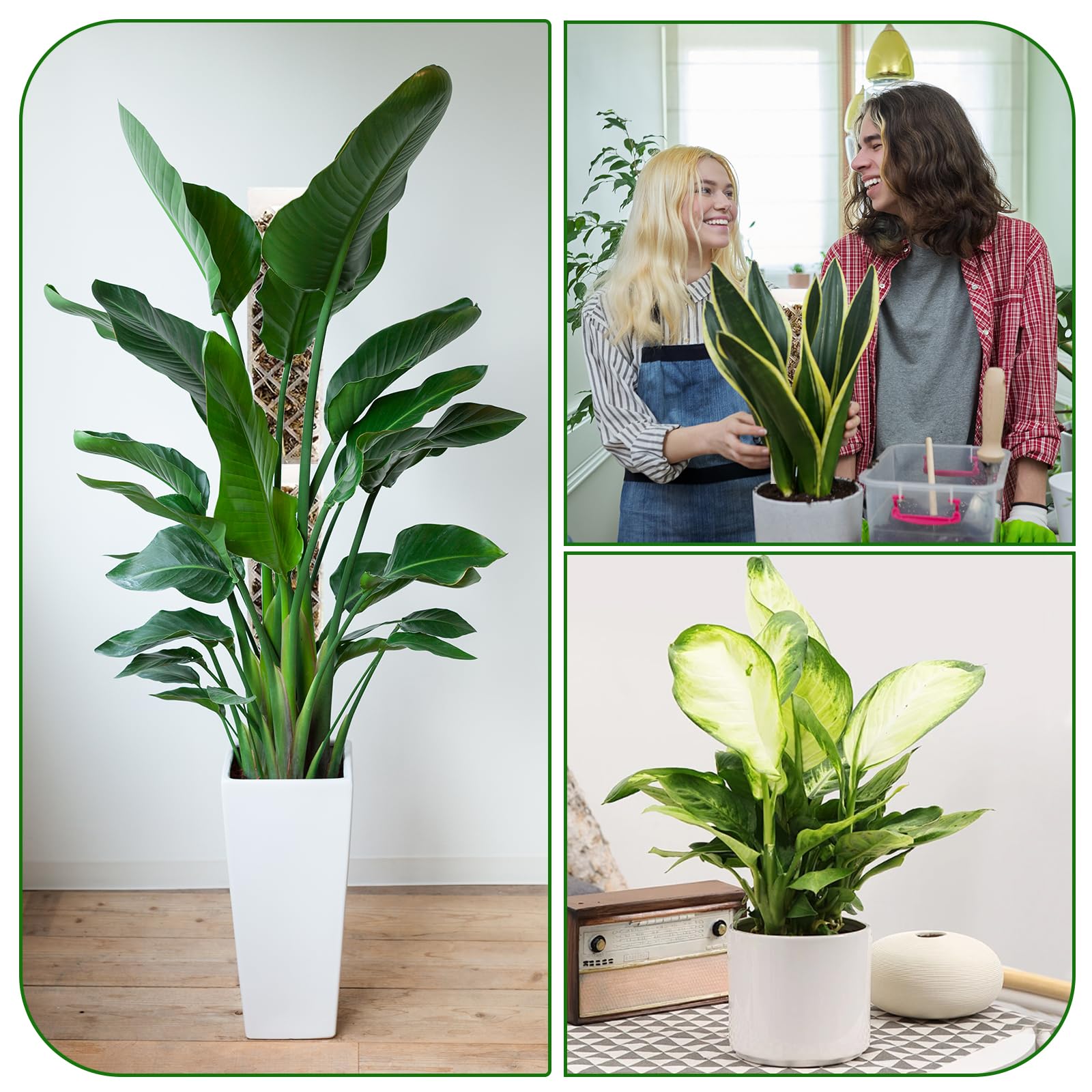 FAELNK Pali di Muschio di Plastica Sfagno per Palo Moss Pole Muschio Bastoncini per Pianteimpilabili in Plastica con Piante Supporto per l'irrigazione Fascette (Bianco)