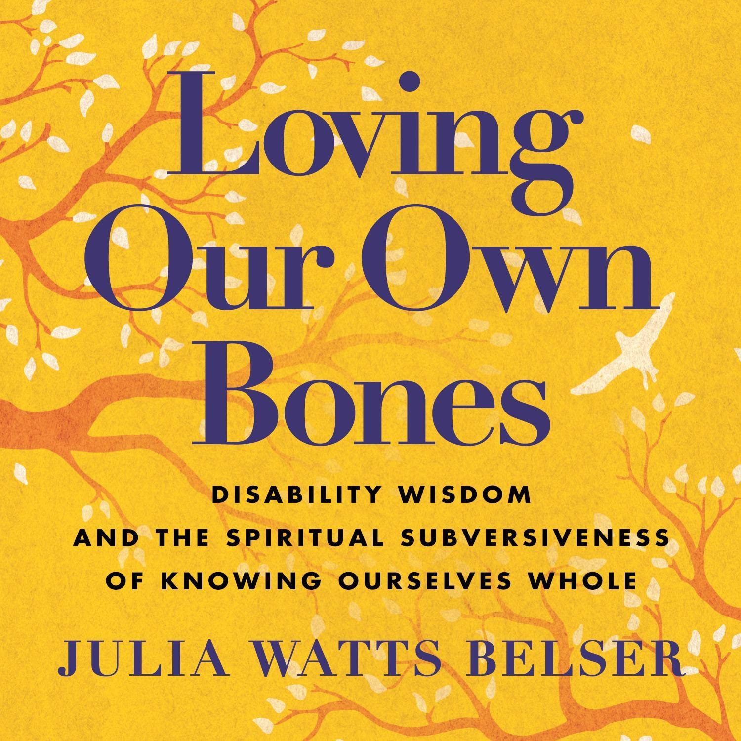 Disability Wisdom and the Spiritual Subversiveness of Knowing Ourselves Whole