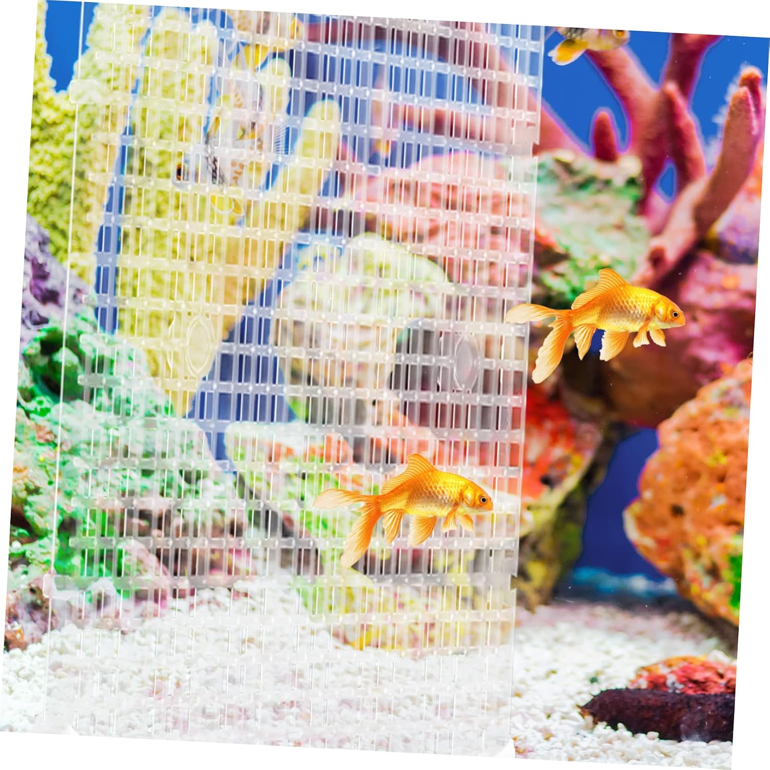 Garneck 4pcs Aquarium Divider for Betta Fish Transparent Mesh Separator Cups for Fish Tank Isolation and Breeding and Easy to Install