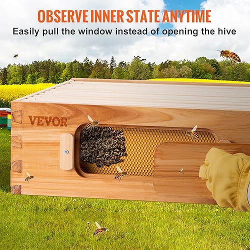 Miniatura 3 de VEVOR Bee Hive kit completo de 10 marcos sumergido en cera de abejas 100 natural incluye 1 base encerada de miel media para principiantes y