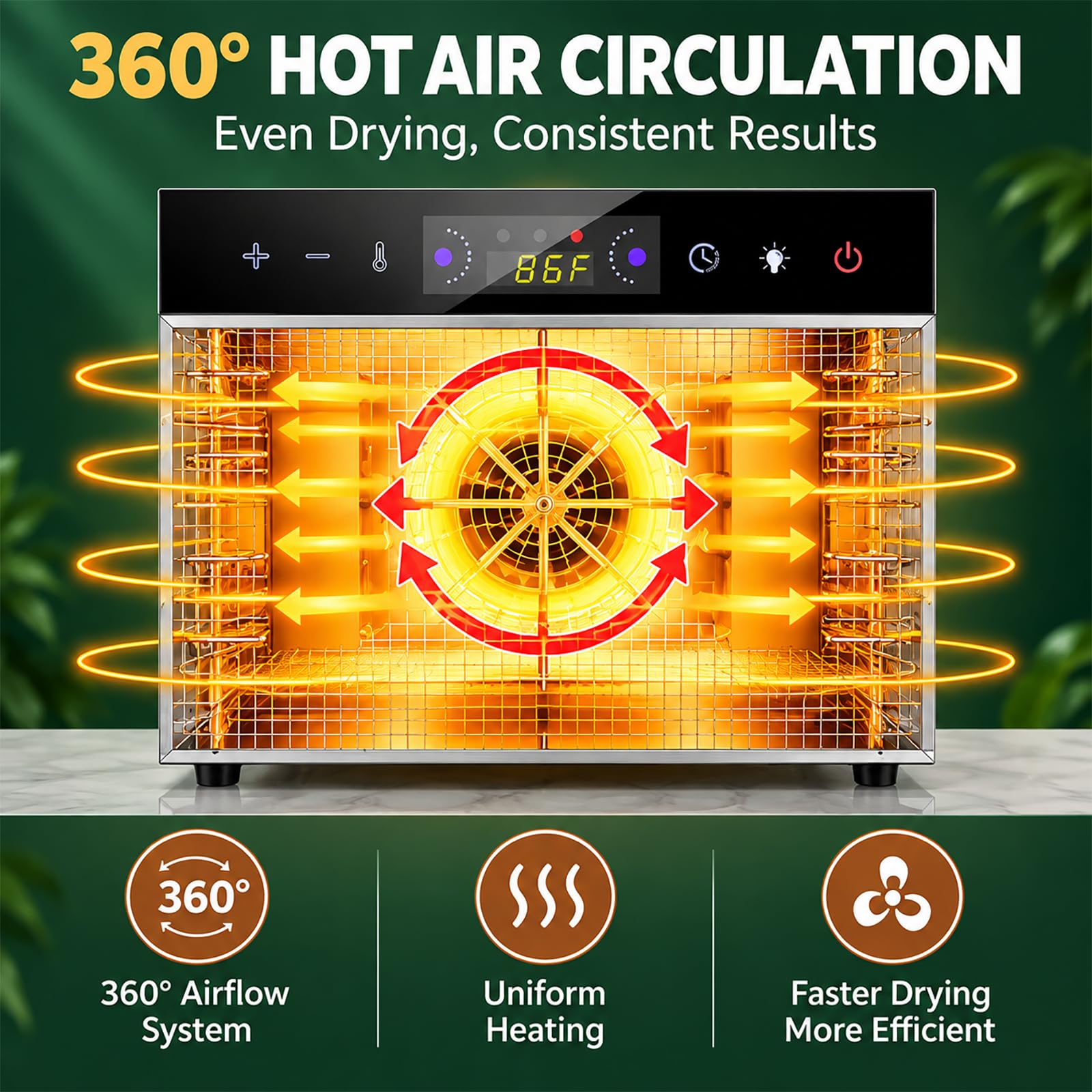 Deshidratador de Alimentos Profesional 400W