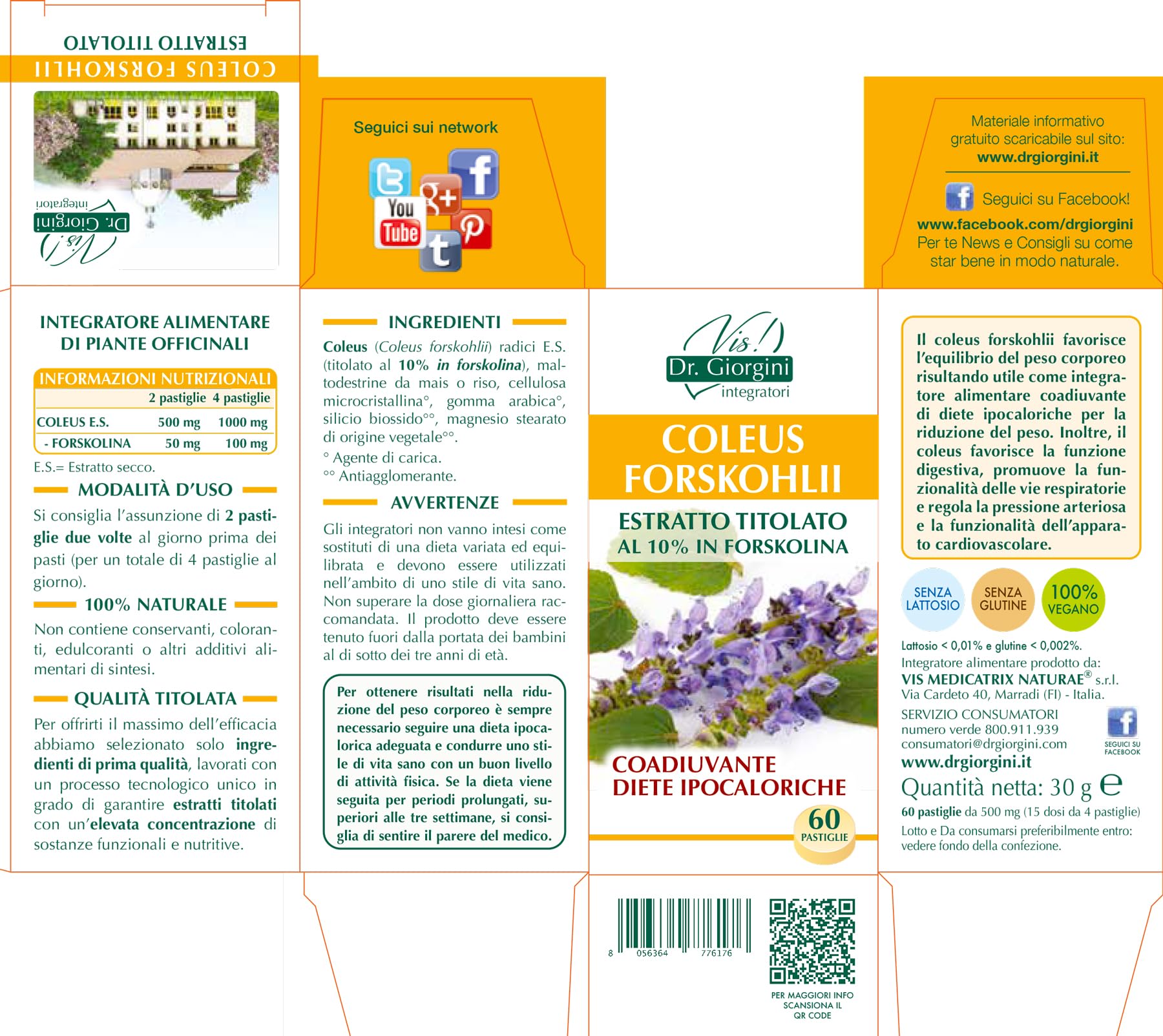Dr Giorgini Integratore Alimentare, Monocomponenti Erbe Coleus Forskohlii Estratto Titolato al 10% in Forskolina Pastiglie - 30 g