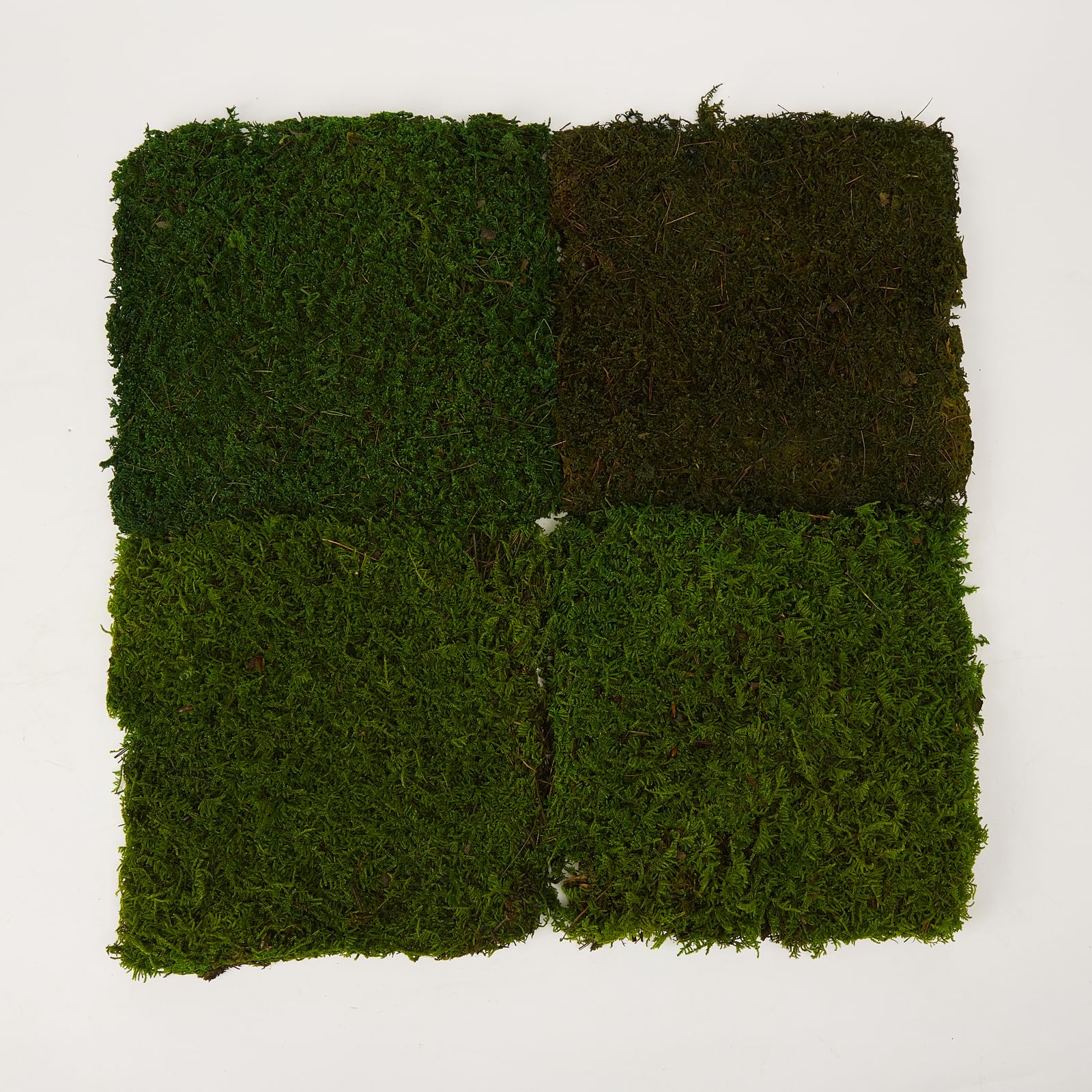 Prefleur Preserved Sheet Moss Natural Green Decorative Real Natural Green DIY Kit Gardenning Art Wall Decor Florist Decor Easter Table Decor Wedding(4 sq.ft.) (Green-A,Green-B,Green-C)