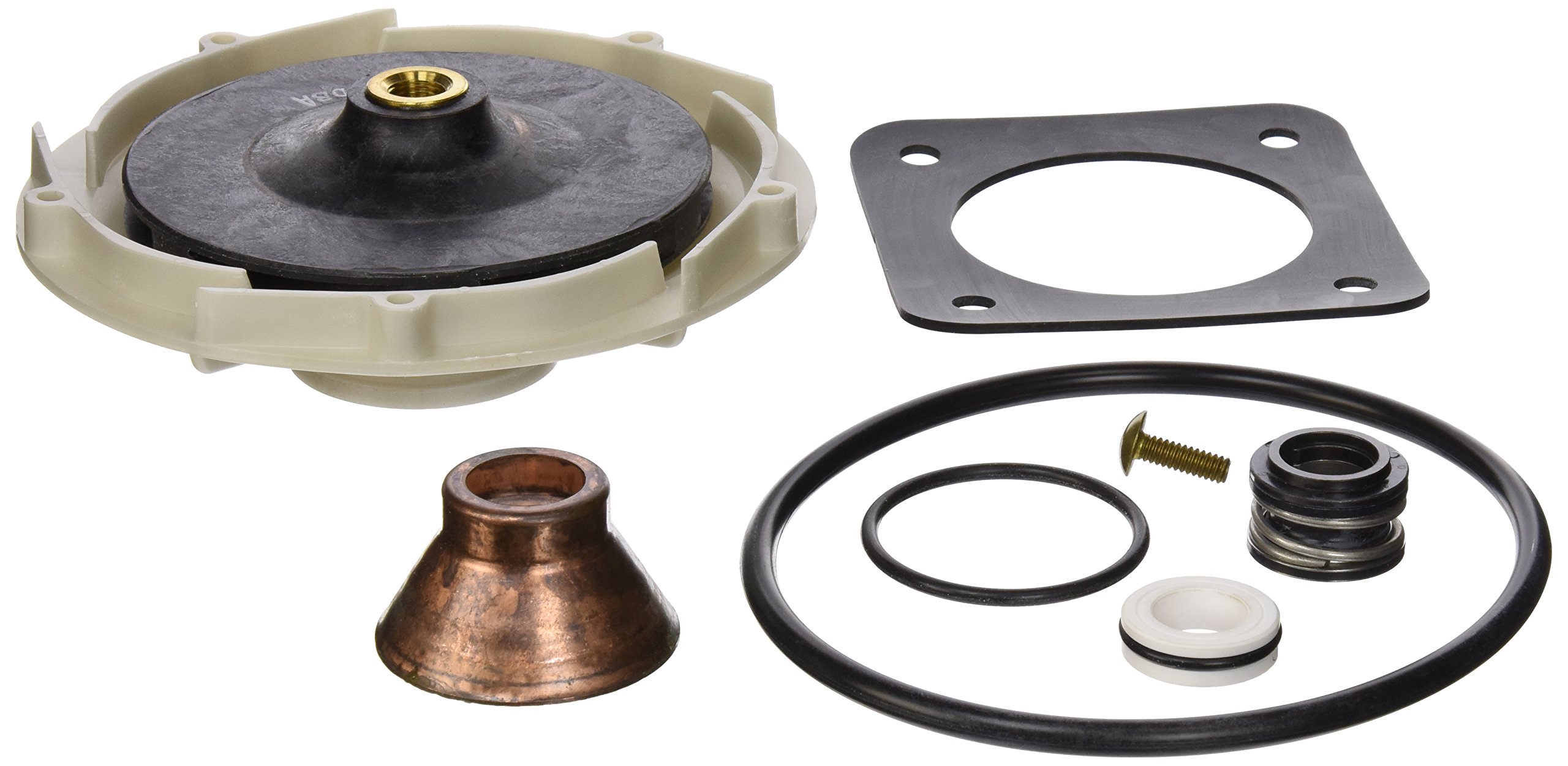 PentairPP1018 Overhaul Replacement Kit Sta-Rite Pool and Spa Pump