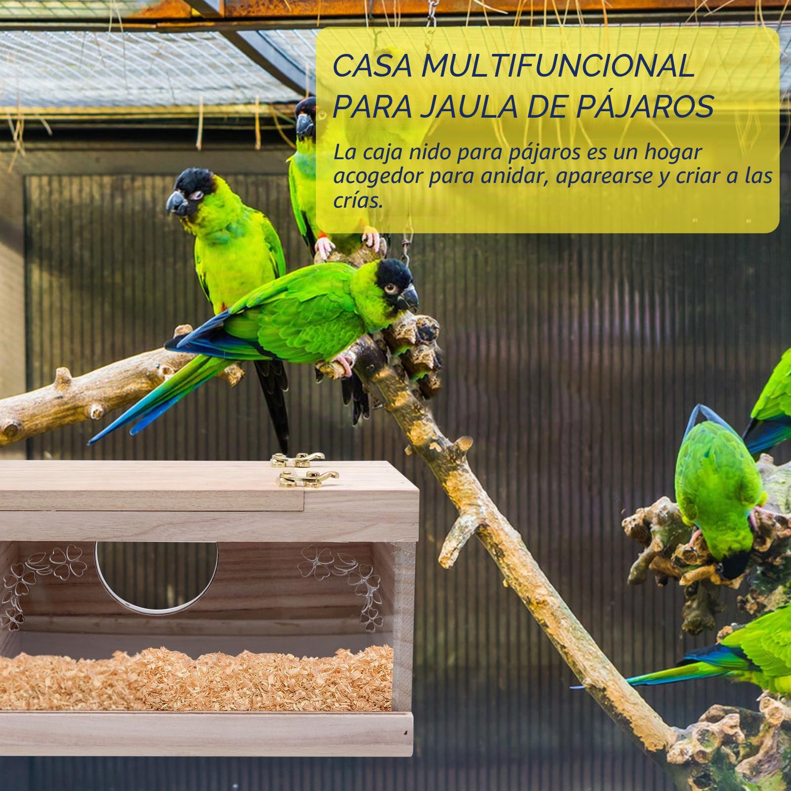 Caja Nido Madera para Periquitos - Caja Transparente para Cría de Pájaros con Pértiga y Ventana Redonda