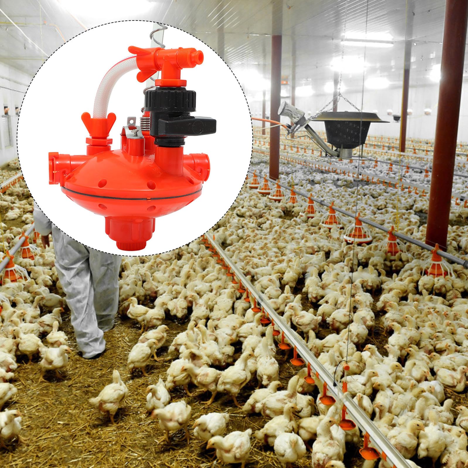 Abbeveratoio Plastico Pressione Regolatore, Acqua Rosso Polli | Allevamento di Galline, Leggero e Anti Perdita, Acqua, Accessori per Fontana Avicola