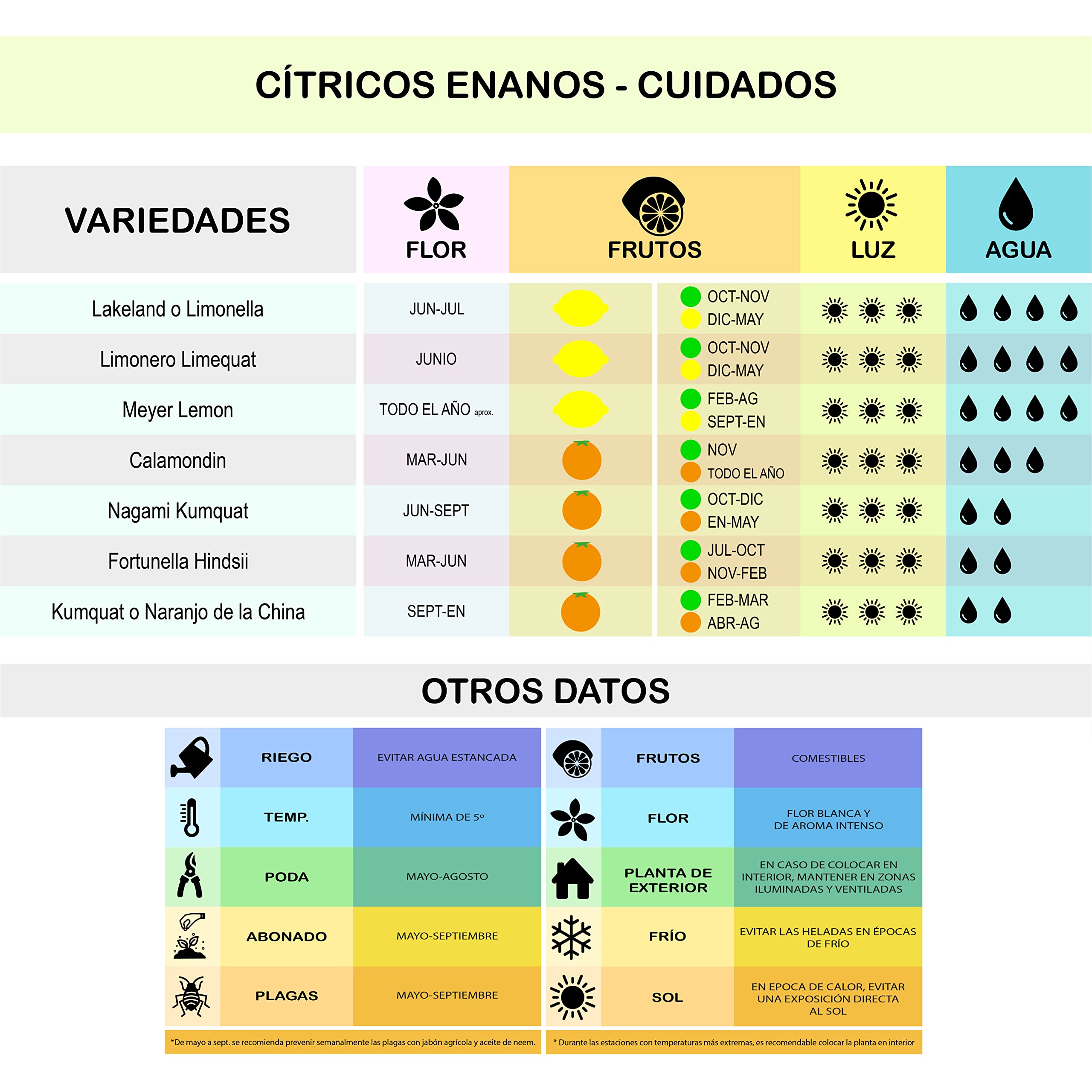 Guia de cuidados com os citrinos anões