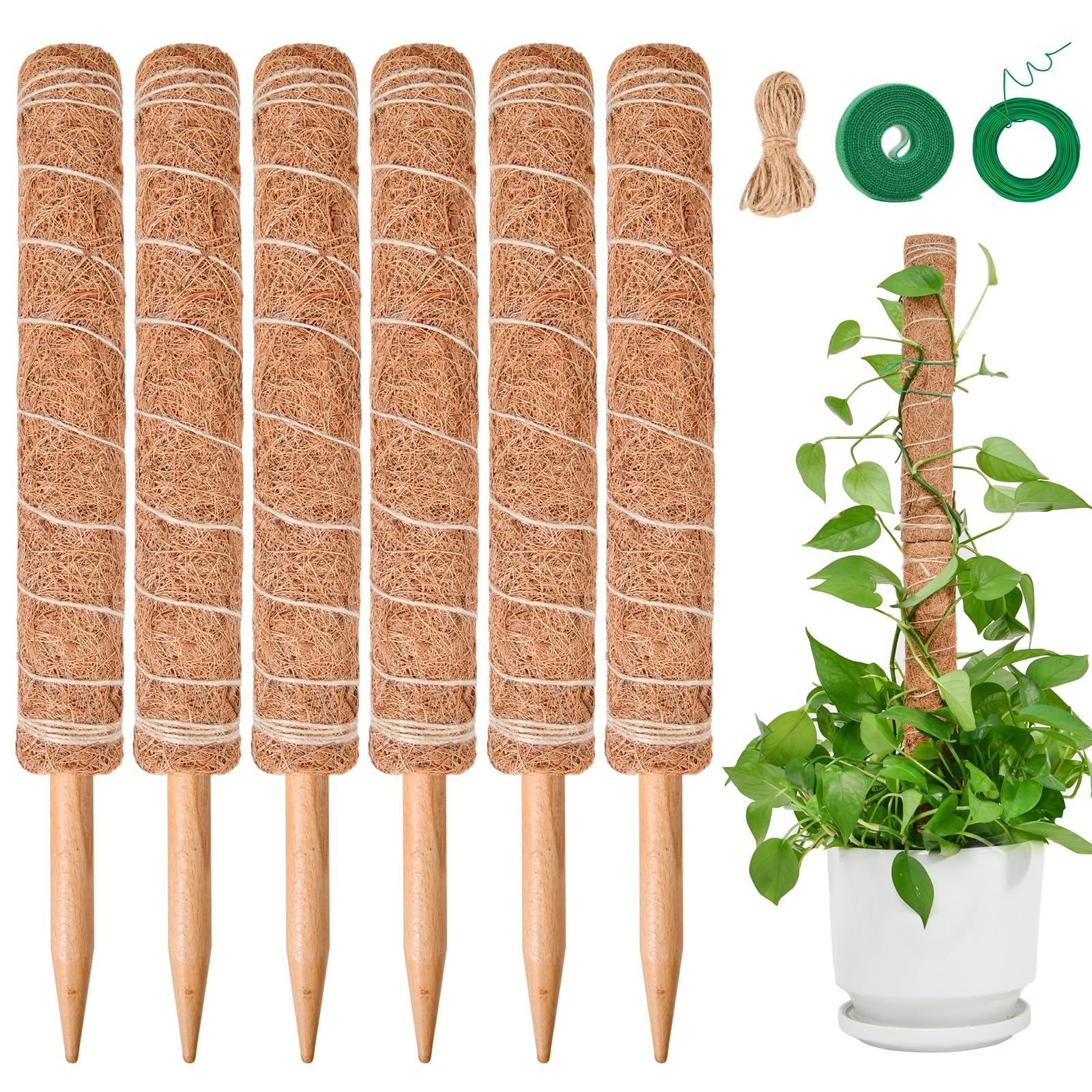 Extendable Moss Pole for Plants SproutMaven 6 x 16 Inch/41cm Monstera Moss Pole kit for Indoor Outdoor Climbing Plants Lianas to Grow Upwards